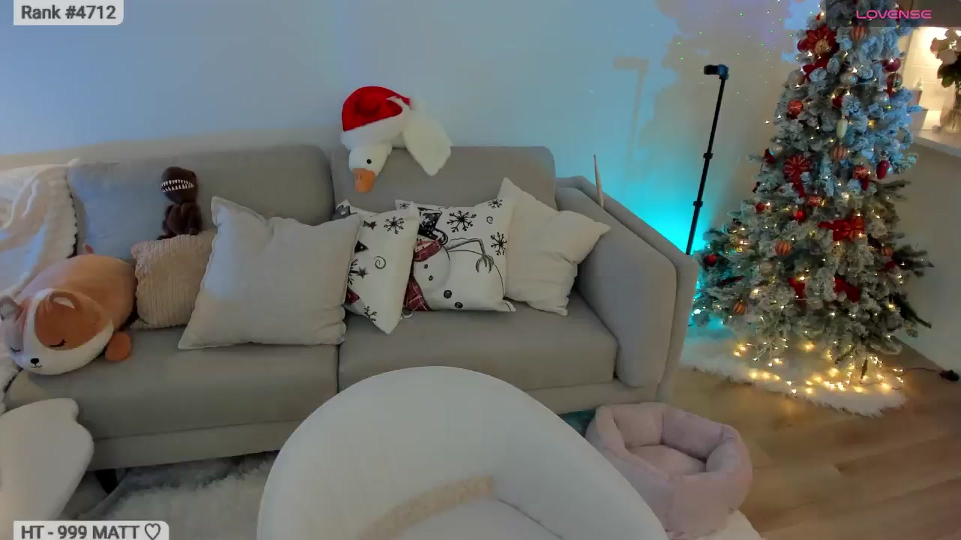 Gallery image thumbnail from Xmas_Baby's myfreecams stream on, 01/13/2026, 03:39 image 13 of 20