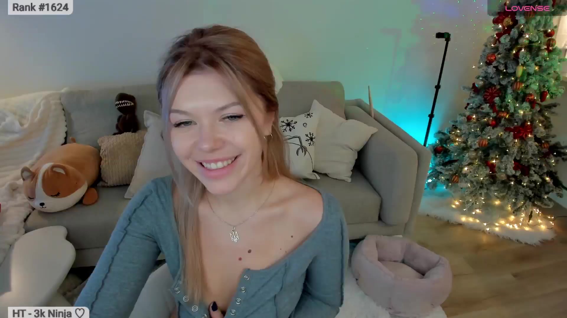 Gallery image thumbnail from Xmas_Baby's myfreecams stream on, 01/13/2026, 06:26 image 12 of 20