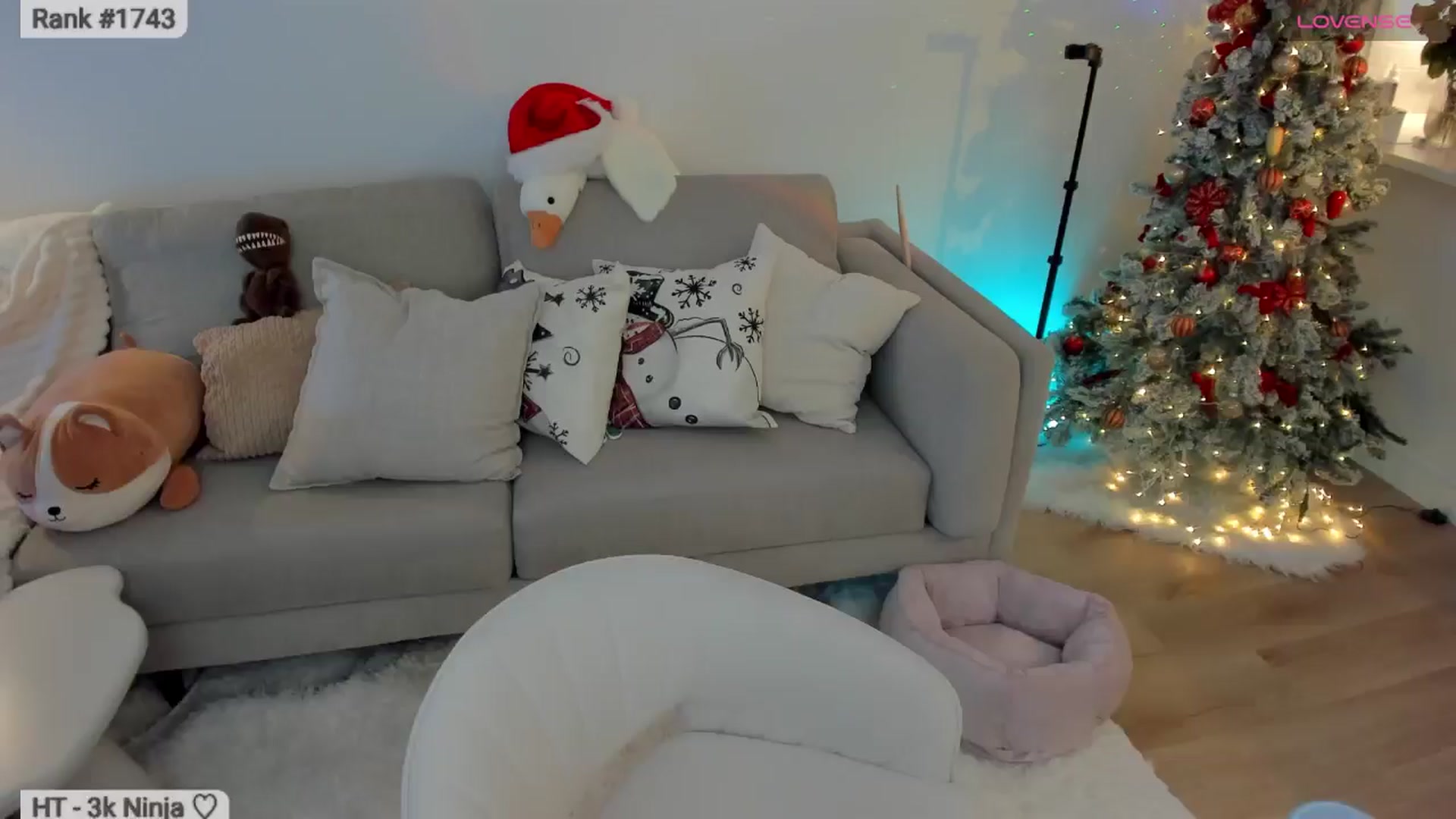 Gallery image thumbnail from Xmas_Baby's myfreecams stream on, 01/13/2026, 06:26 image 1 of 20