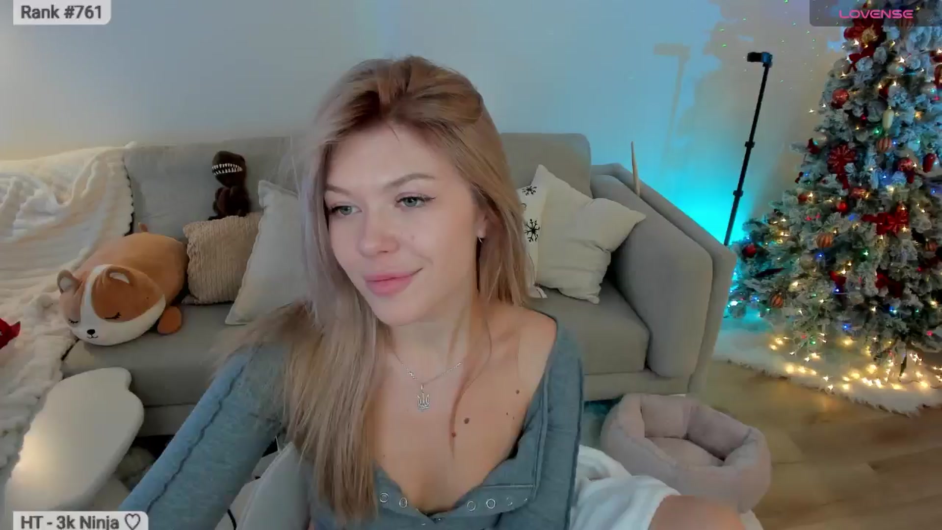 Gallery image thumbnail from Xmas_Baby's myfreecams stream on, 01/13/2026, 08:05 image 18 of 20