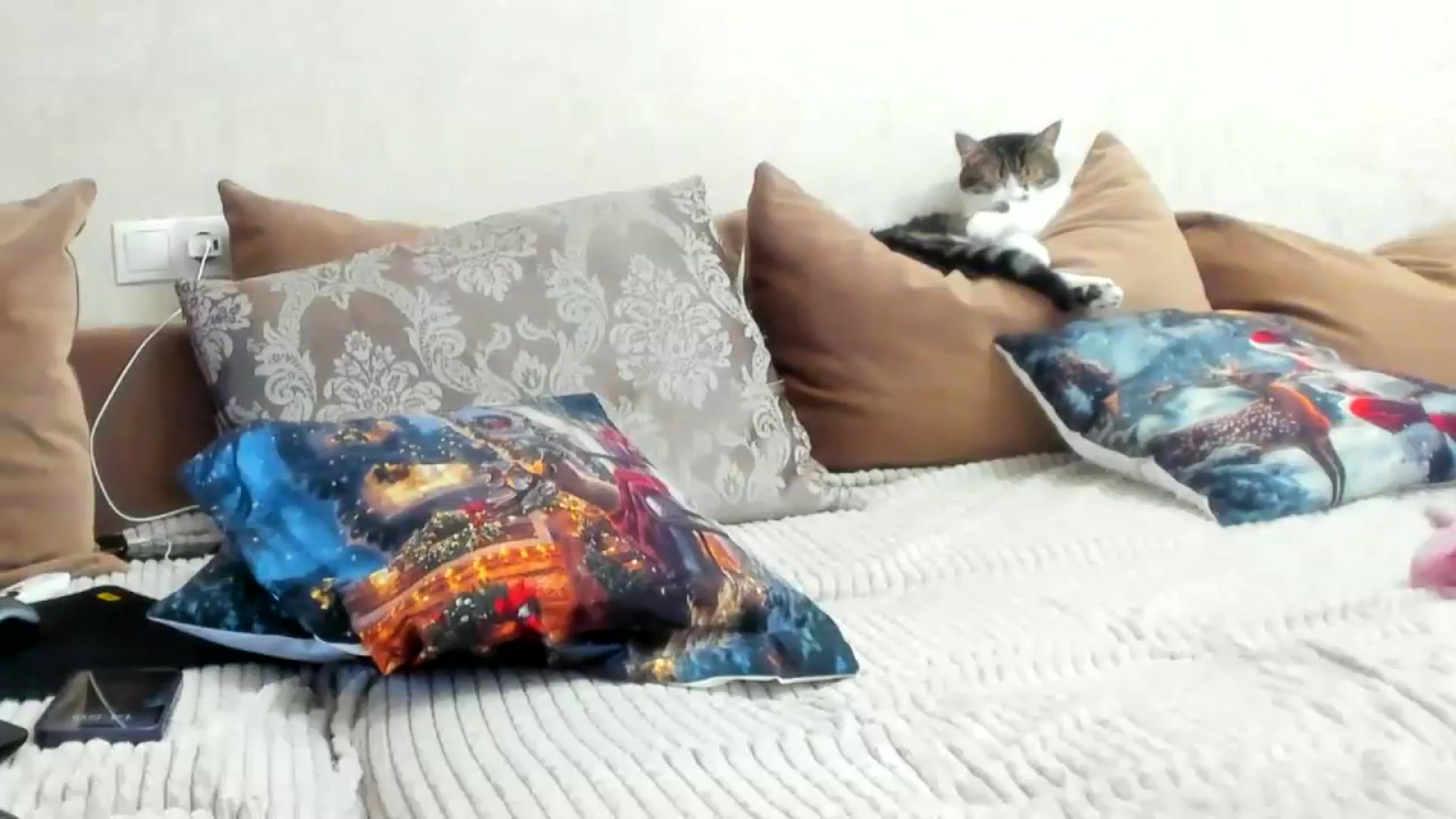Gallery image thumbnail from Xmas_Lady_'s myfreecams stream on, 12/31/2024, 13:18 image 5 of 20