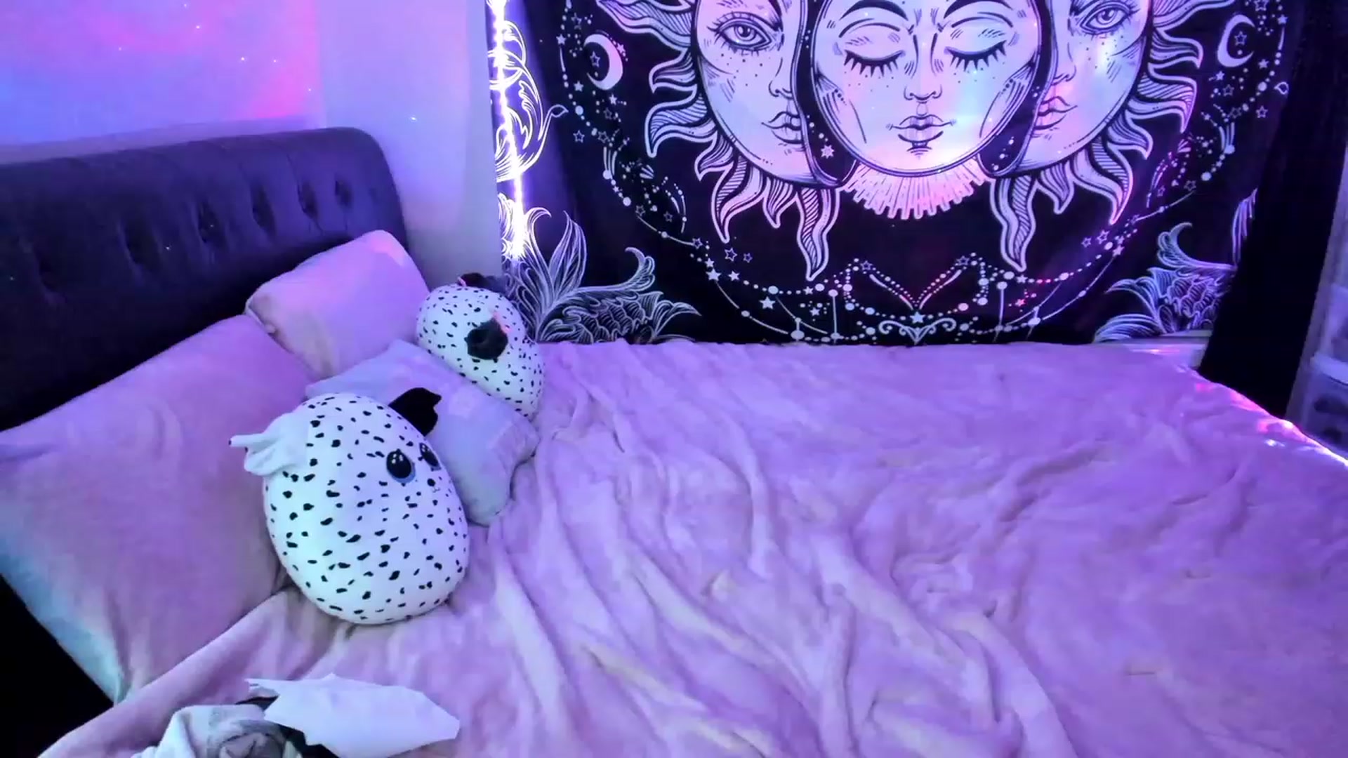 Gallery image thumbnail from Xo_belle's myfreecams stream on, 05/01/2023, 05:26 image 10 of 20