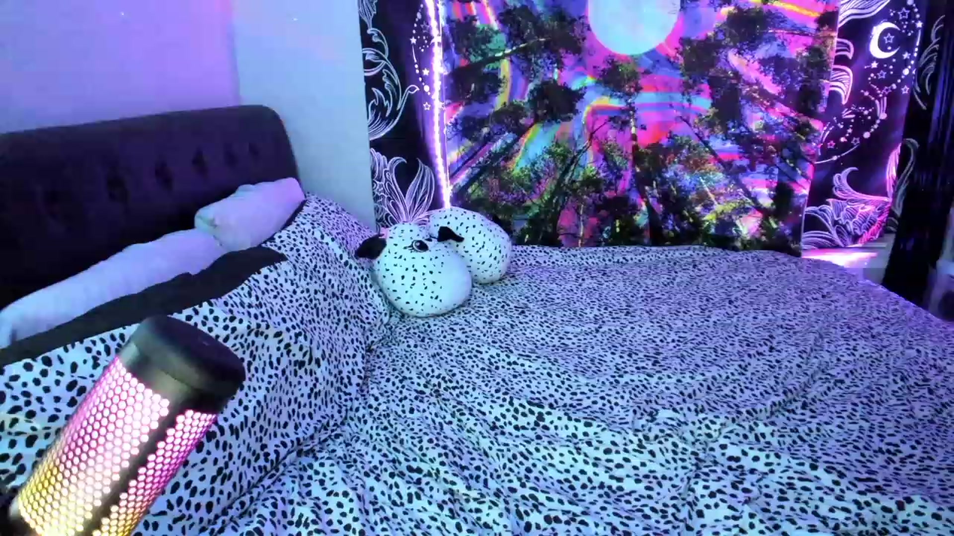 Gallery image thumbnail from Xo_belle's myfreecams stream on, 05/25/2023, 07:43 image 5 of 20