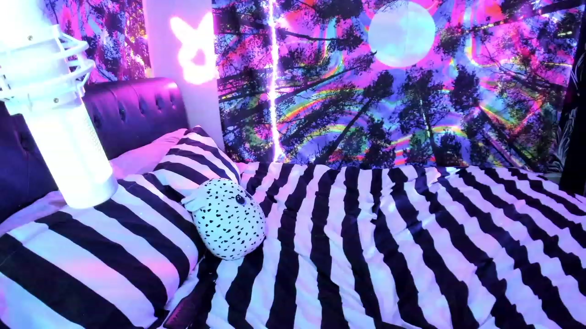 Gallery image thumbnail from Xo_belle's myfreecams stream on, 07/29/2023, 07:19 image 8 of 20