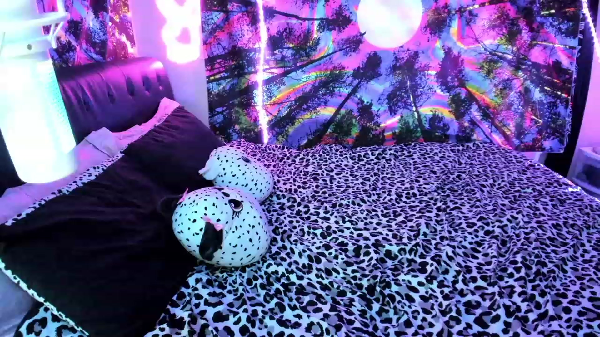 Gallery image thumbnail from Xo_belle's myfreecams stream on, 09/11/2023, 04:41 image 13 of 20