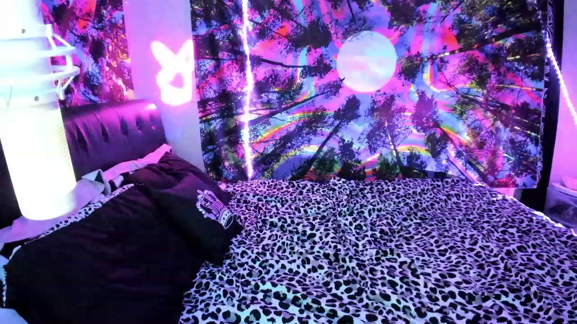 Gallery image thumbnail from Xo_belle's myfreecams stream on, 09/12/2023, 06:55 image 3 of 20