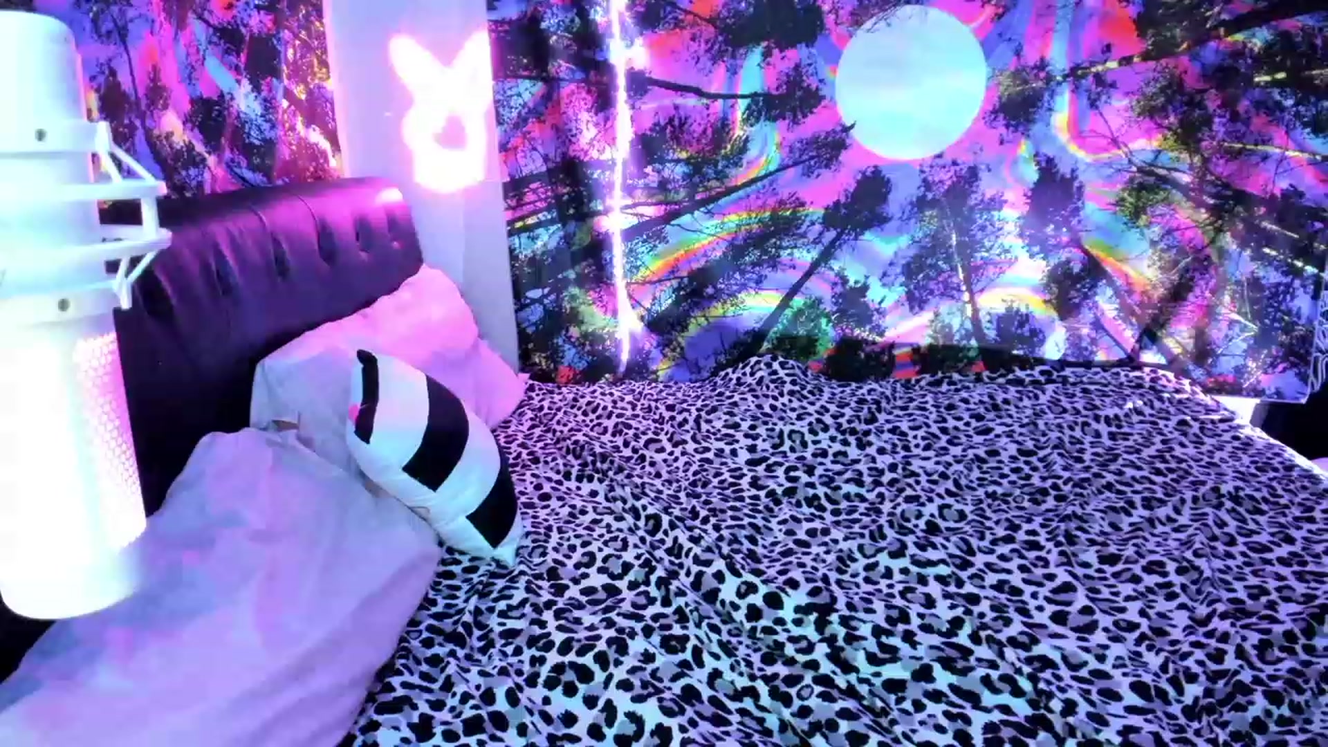Gallery image thumbnail from Xo_belle's myfreecams stream on, 09/29/2023, 04:01 image 19 of 20