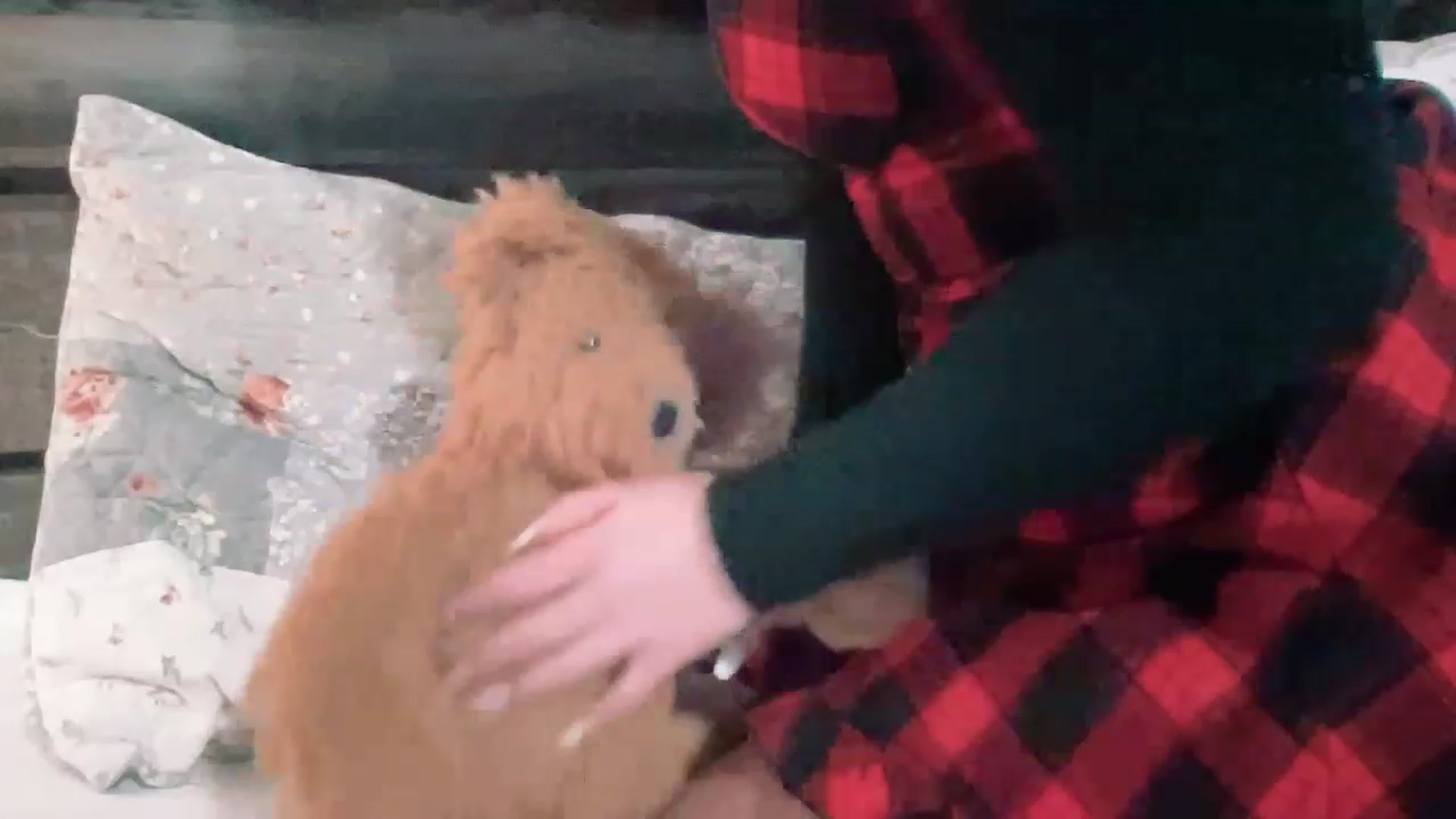Gallery image thumbnail from Xonakitaxo's myfreecams stream on, 12/07/2022, 06:28 image 13 of 20