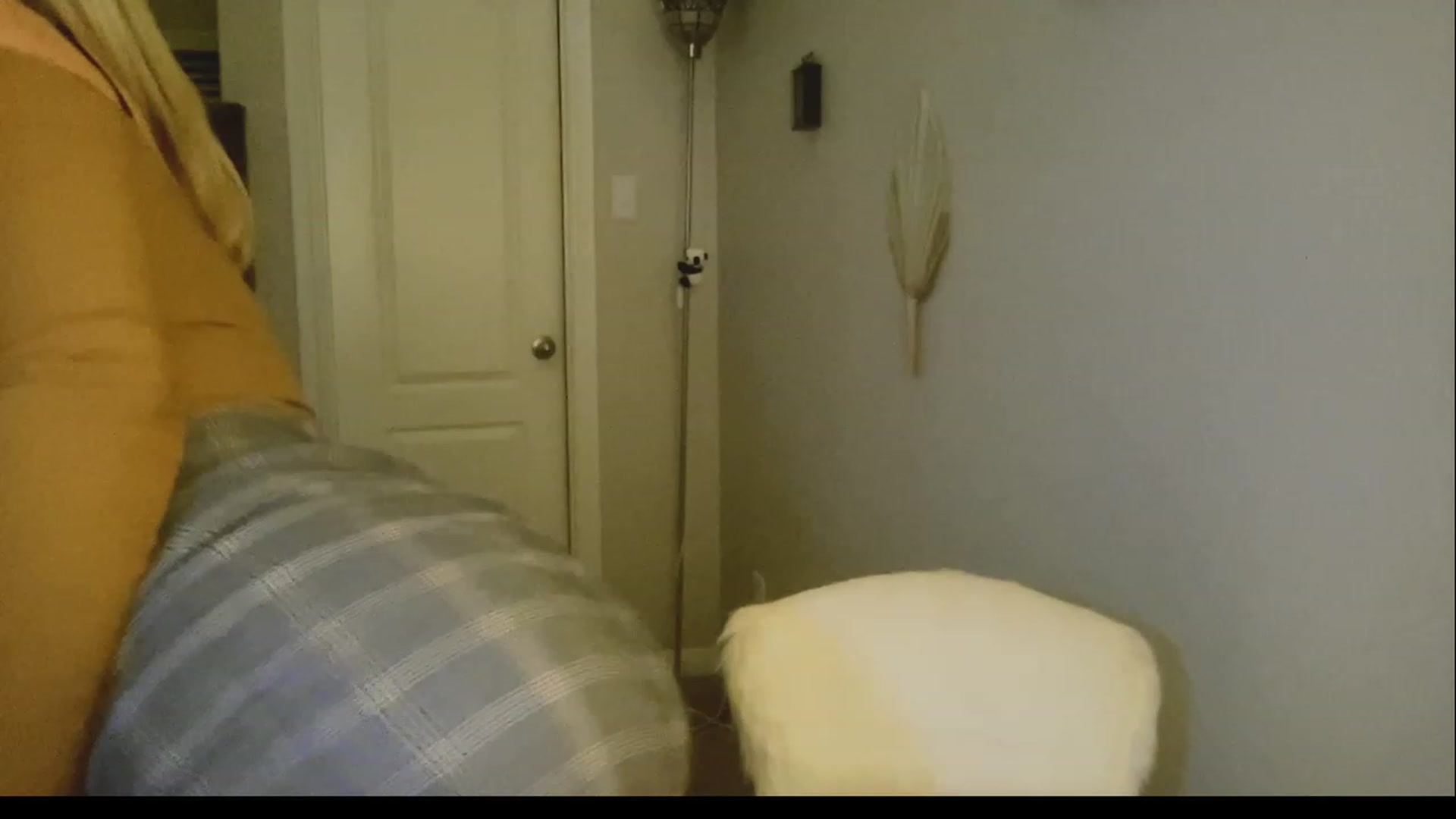 Gallery image thumbnail from Xonakitaxo's myfreecams stream on, 03/10/2023, 07:41 image 3 of 20