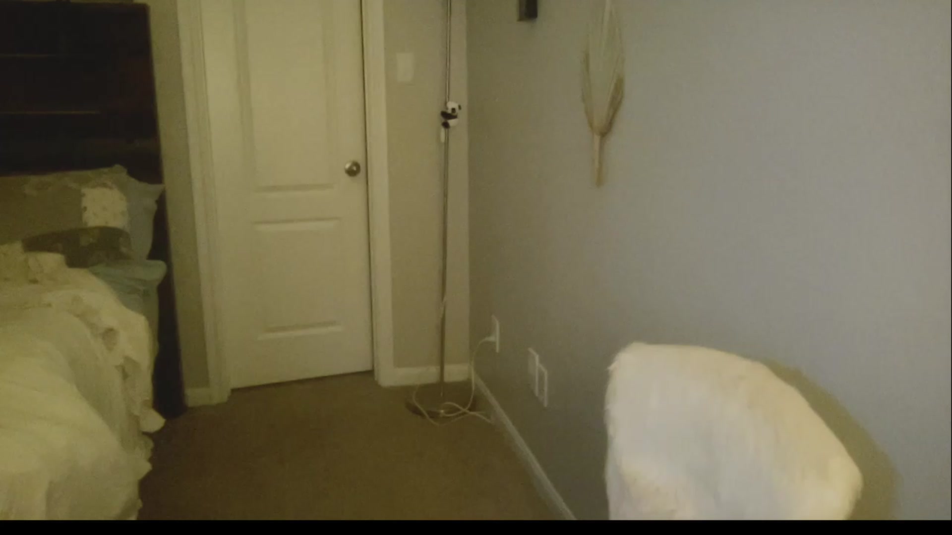 Gallery image thumbnail from Xonakitaxo's myfreecams stream on, 03/10/2023, 07:41 image 19 of 20