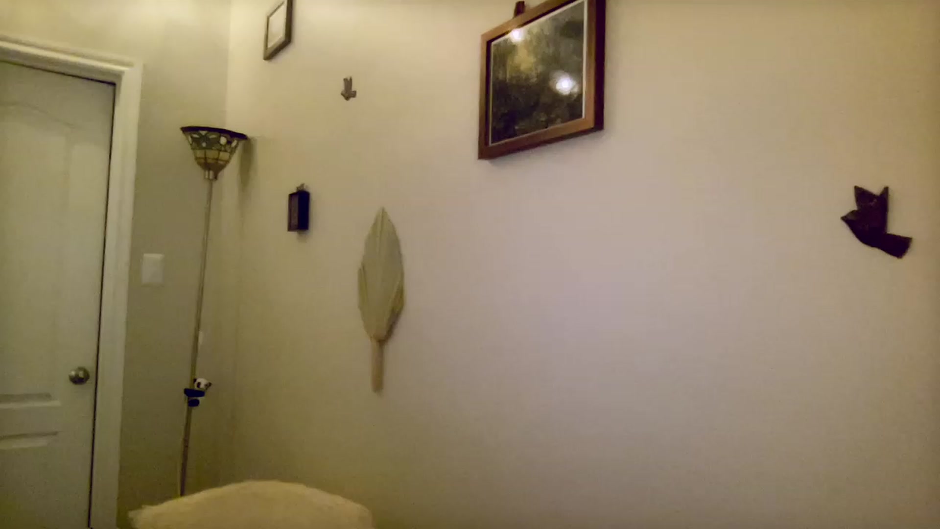 Gallery image thumbnail from Xonakitaxo's myfreecams stream on, 04/10/2023, 07:08 image 16 of 20