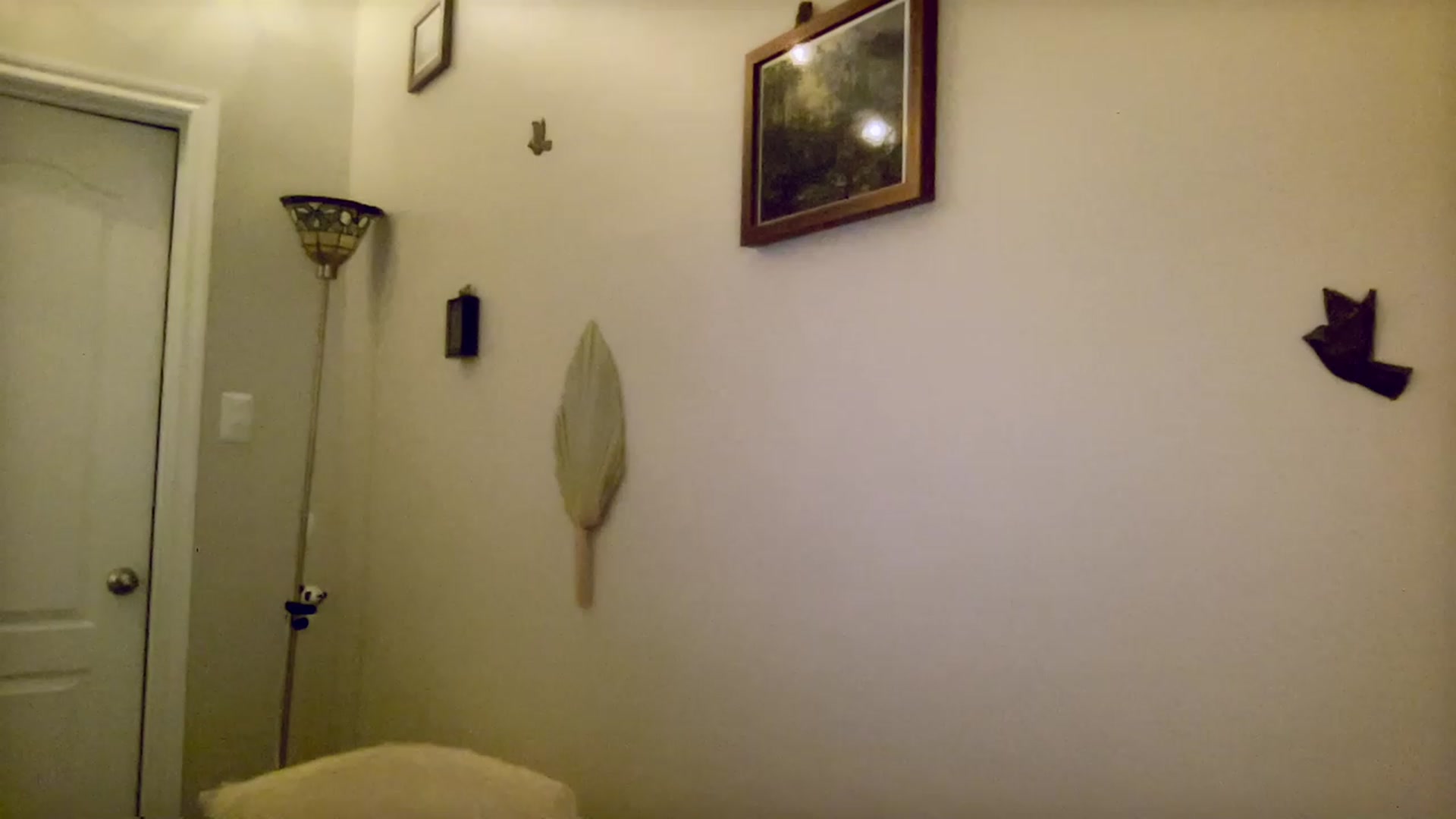 Gallery image thumbnail from Xonakitaxo's myfreecams stream on, 04/10/2023, 07:08 image 13 of 20