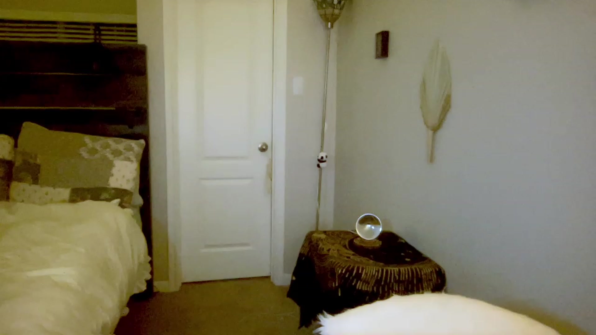 Gallery image thumbnail from Xonakitaxo's myfreecams stream on, 04/26/2023, 05:13 image 7 of 20
