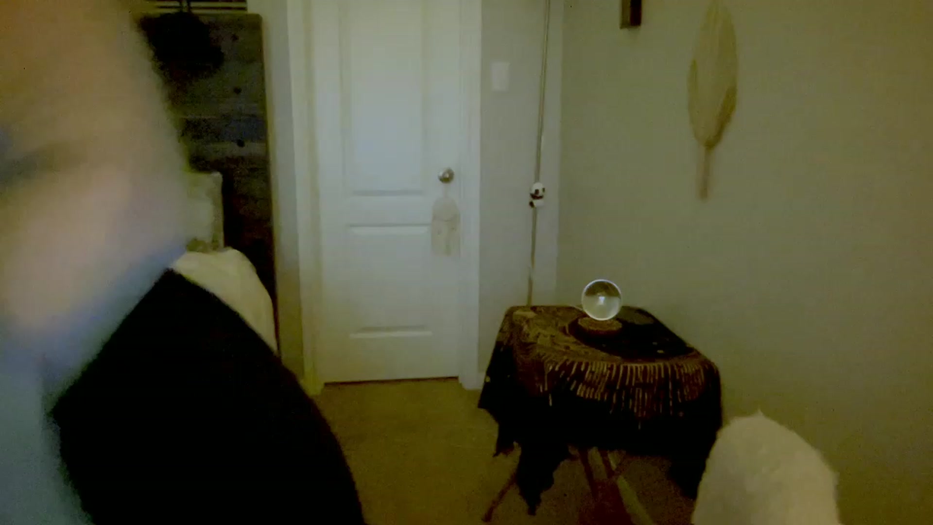Gallery image thumbnail from Xonakitaxo's myfreecams stream on, 04/28/2023, 03:00 image 19 of 20