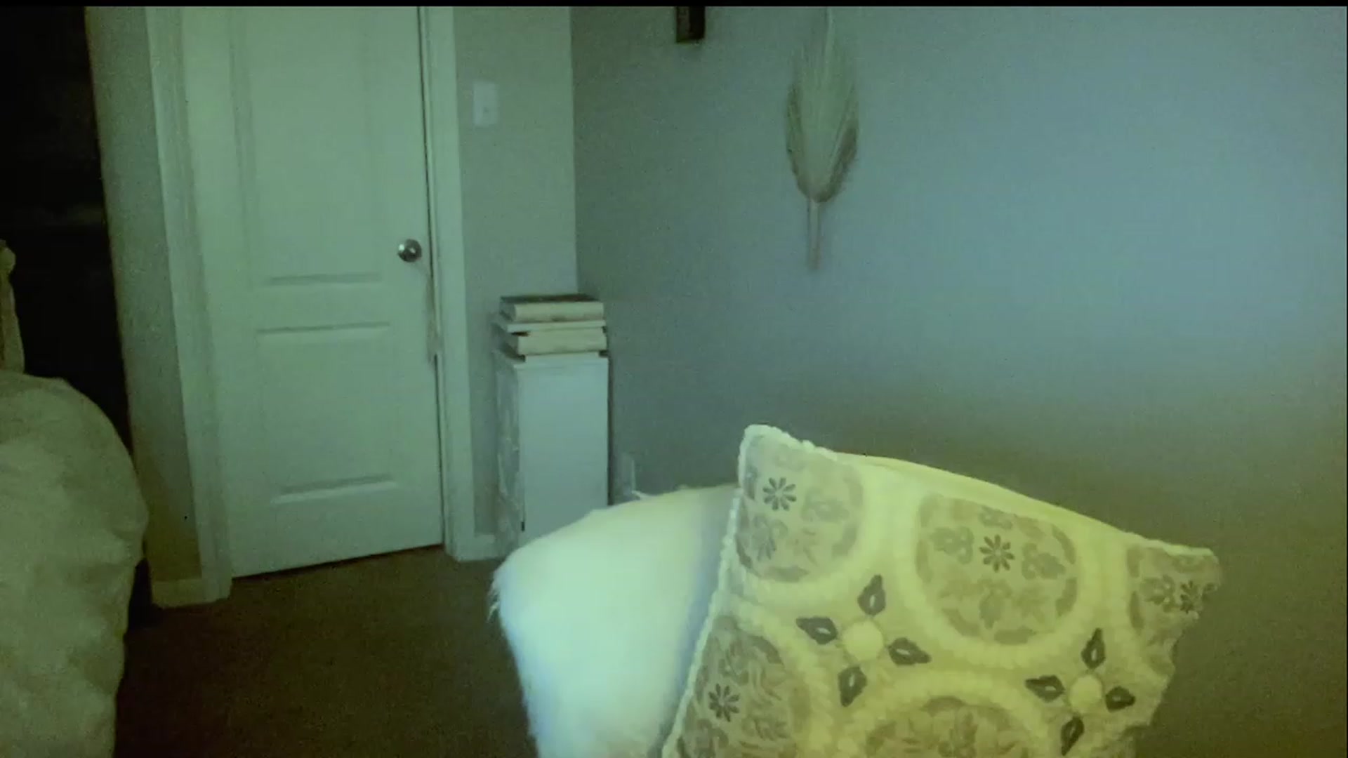 Gallery image thumbnail from Xonakitaxo's myfreecams stream on, 06/20/2023, 06:45 image 1 of 20