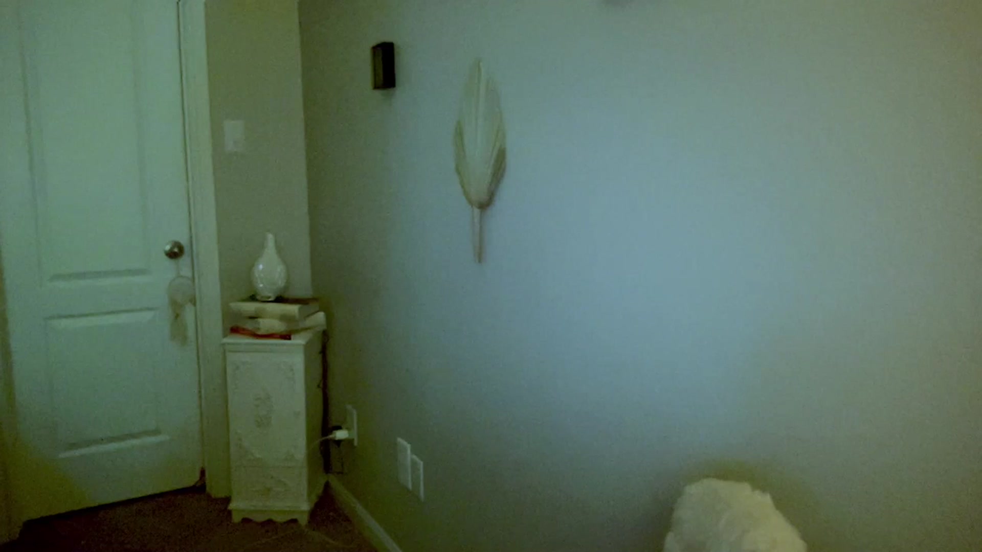 Gallery image thumbnail from Xonakitaxo's myfreecams stream on, 07/02/2023, 06:07 image 15 of 20