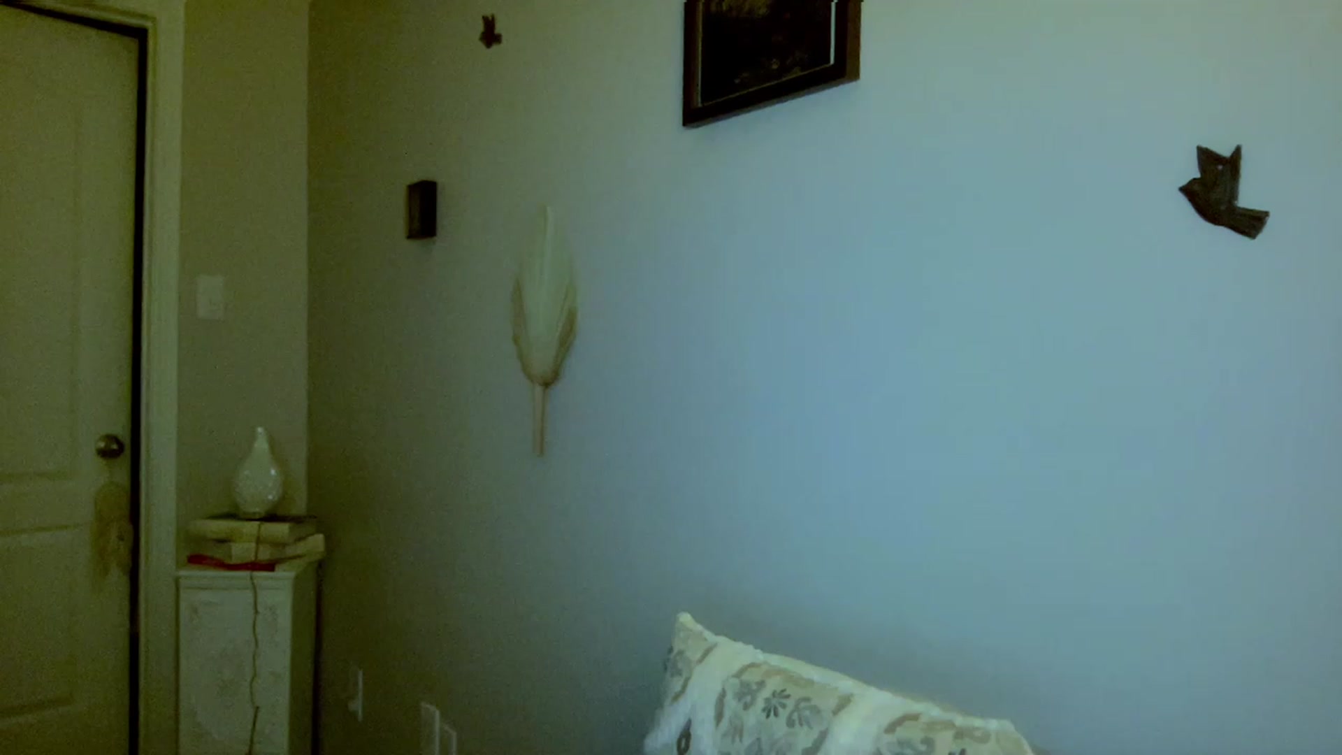 Gallery image thumbnail from Xonakitaxo's myfreecams stream on, 07/09/2023, 07:26 image 9 of 20