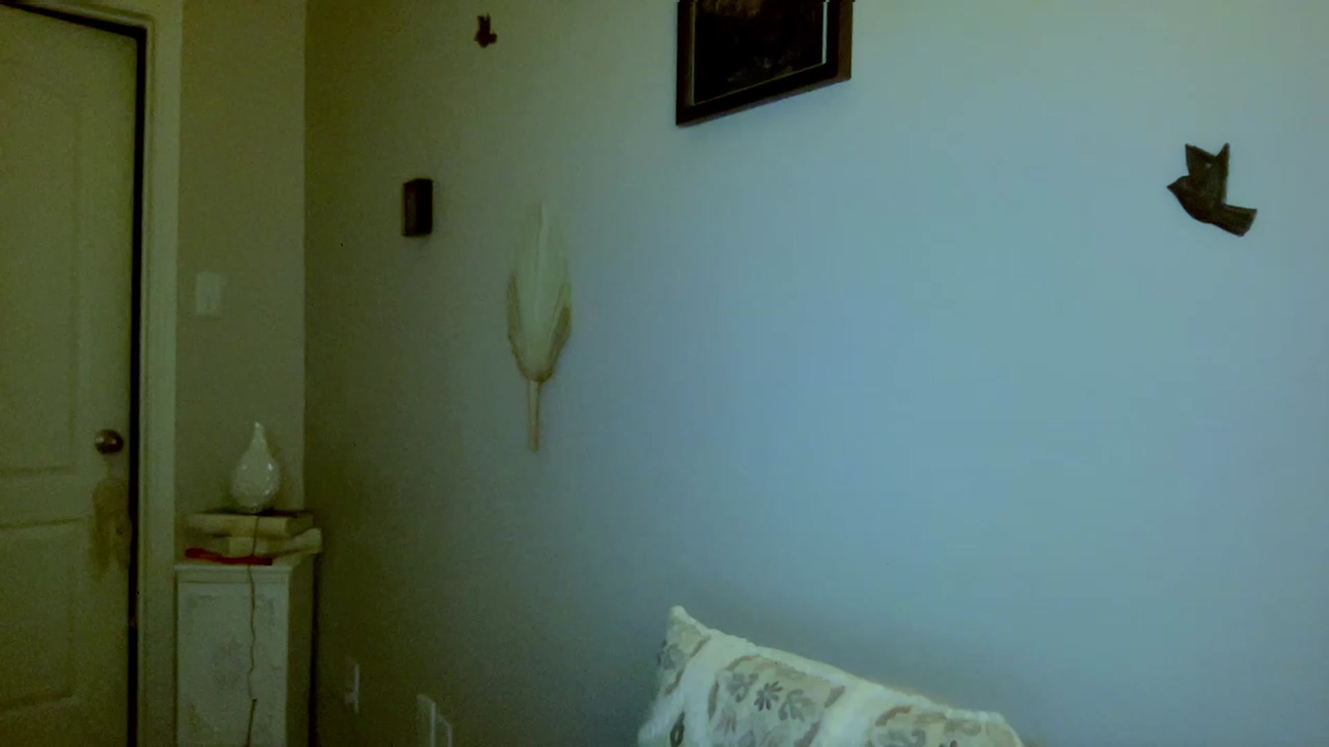 Gallery image thumbnail from Xonakitaxo's myfreecams stream on, 07/09/2023, 07:26 image 10 of 20