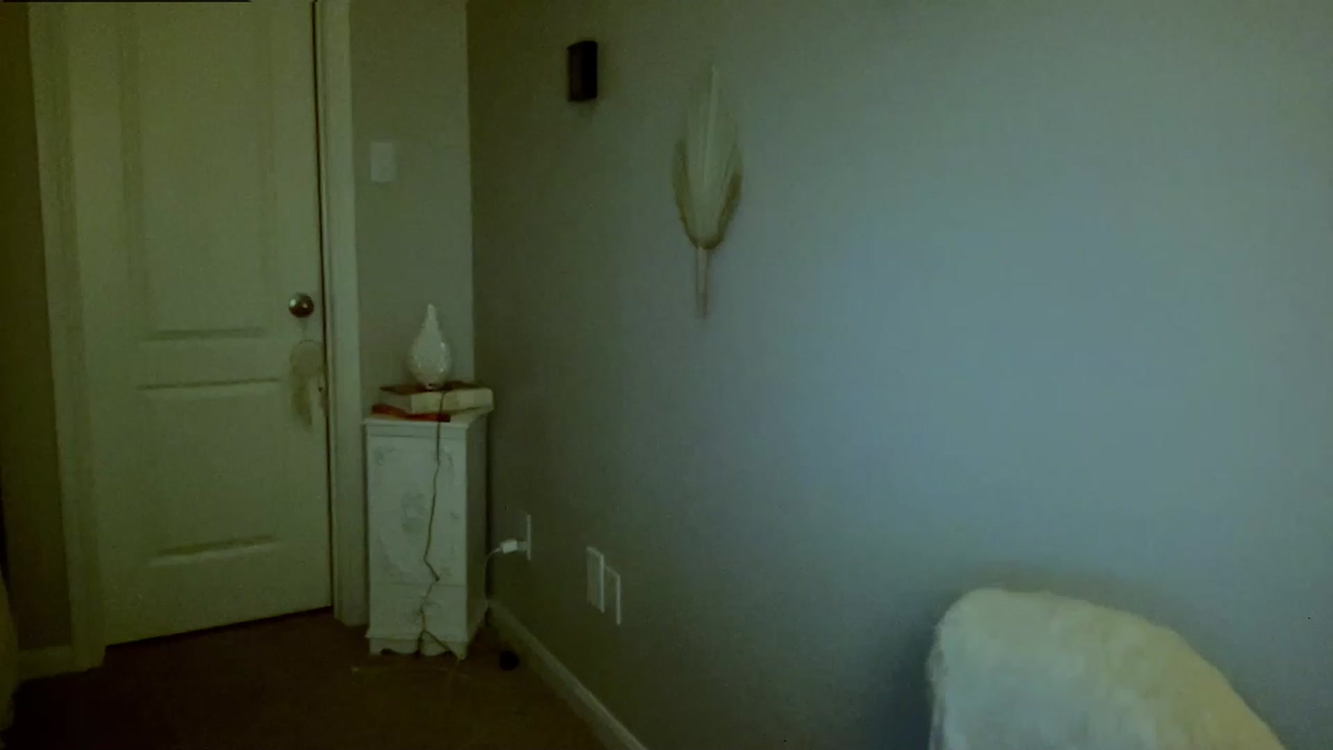 Gallery image thumbnail from Xonakitaxo's myfreecams stream on, 07/16/2023, 05:37 image 8 of 20
