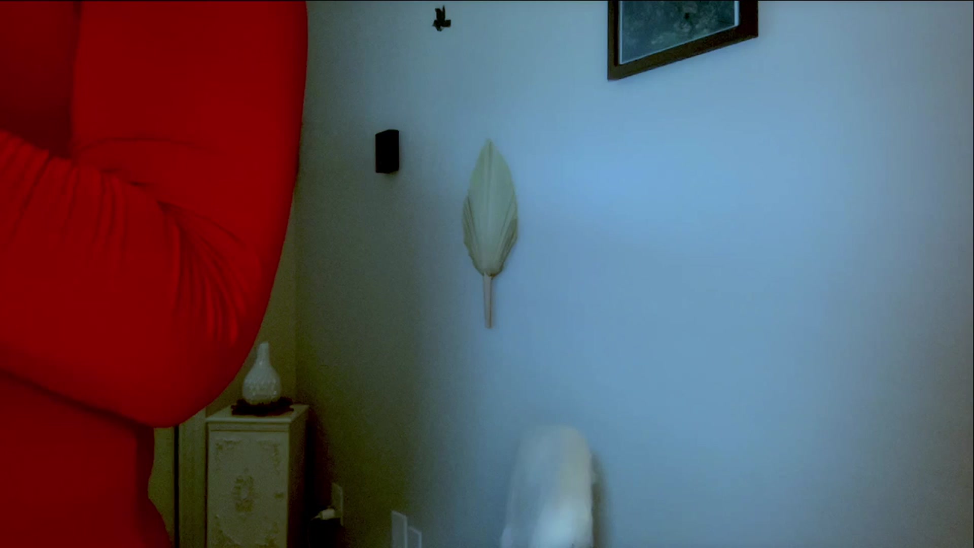 Gallery image thumbnail from Xonakitaxo's myfreecams stream on, 12/14/2023, 18:40 image 1 of 20