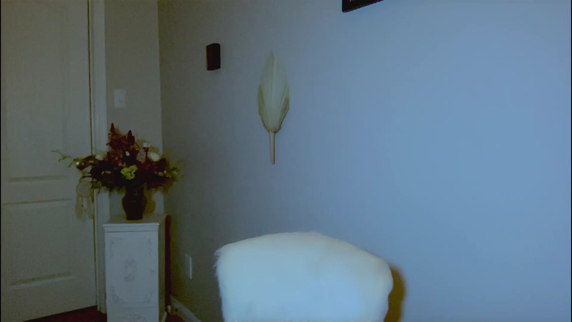 Gallery image thumbnail from Xonakitaxo's myfreecams stream on, 01/29/2024, 07:17 image 6 of 20