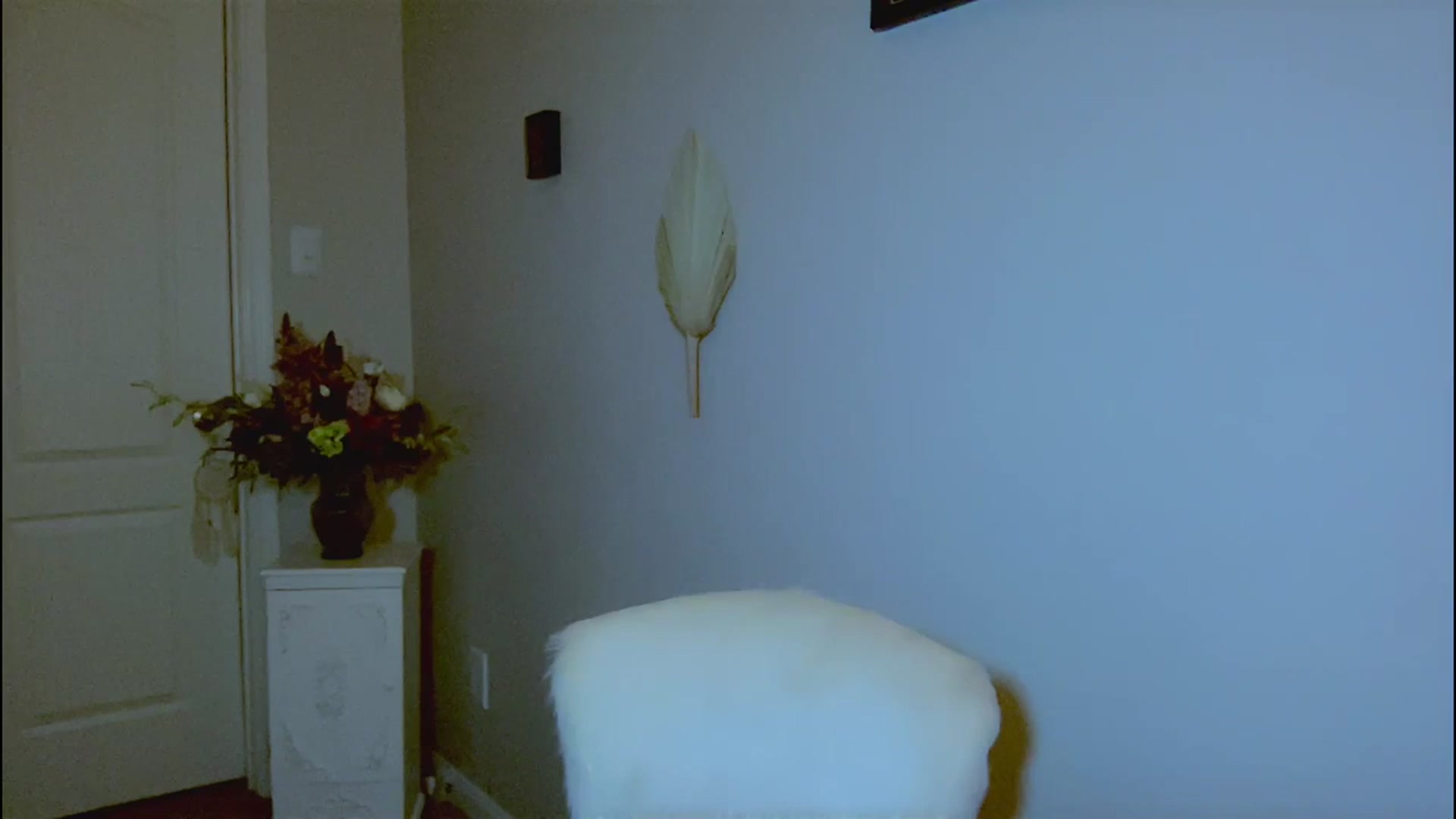 Gallery image thumbnail from Xonakitaxo's myfreecams stream on, 01/29/2024, 07:17 image 18 of 20