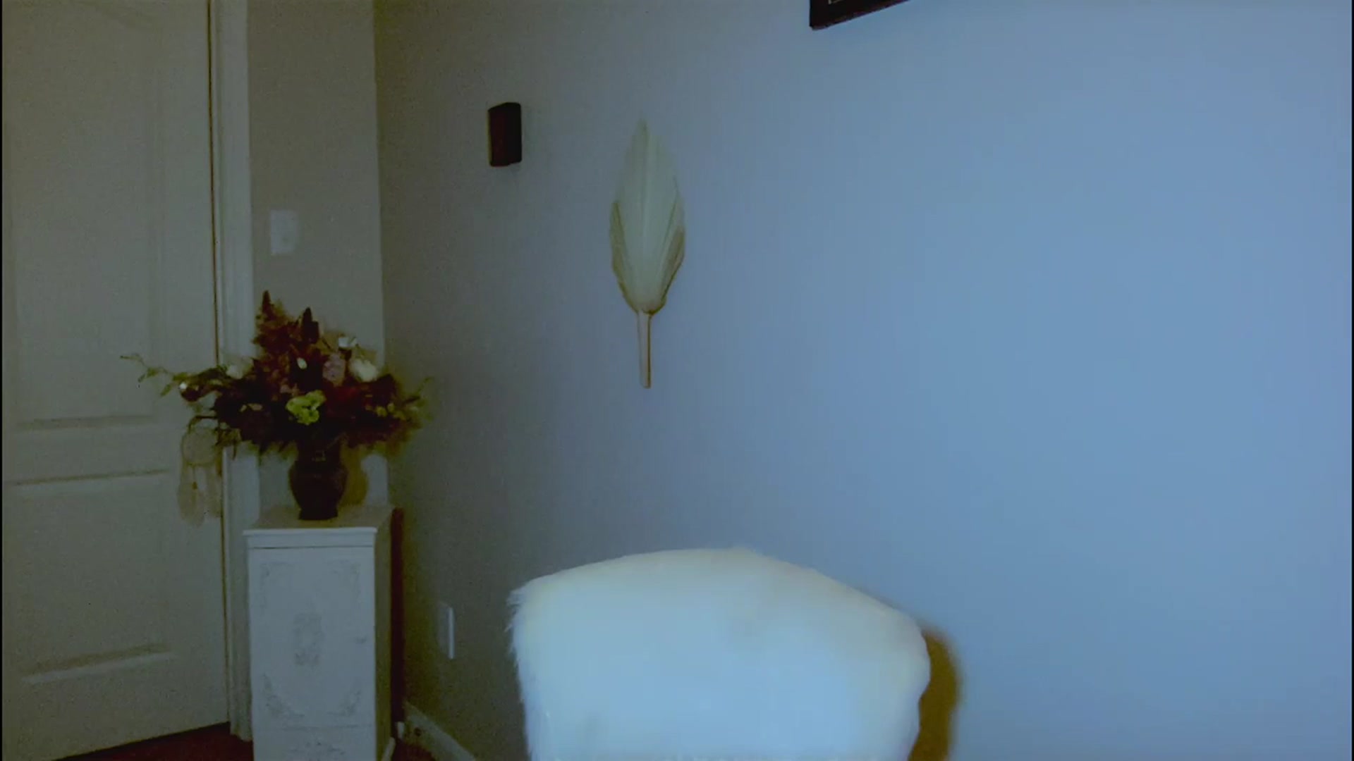 Gallery image thumbnail from Xonakitaxo's myfreecams stream on, 01/29/2024, 07:17 image 2 of 20