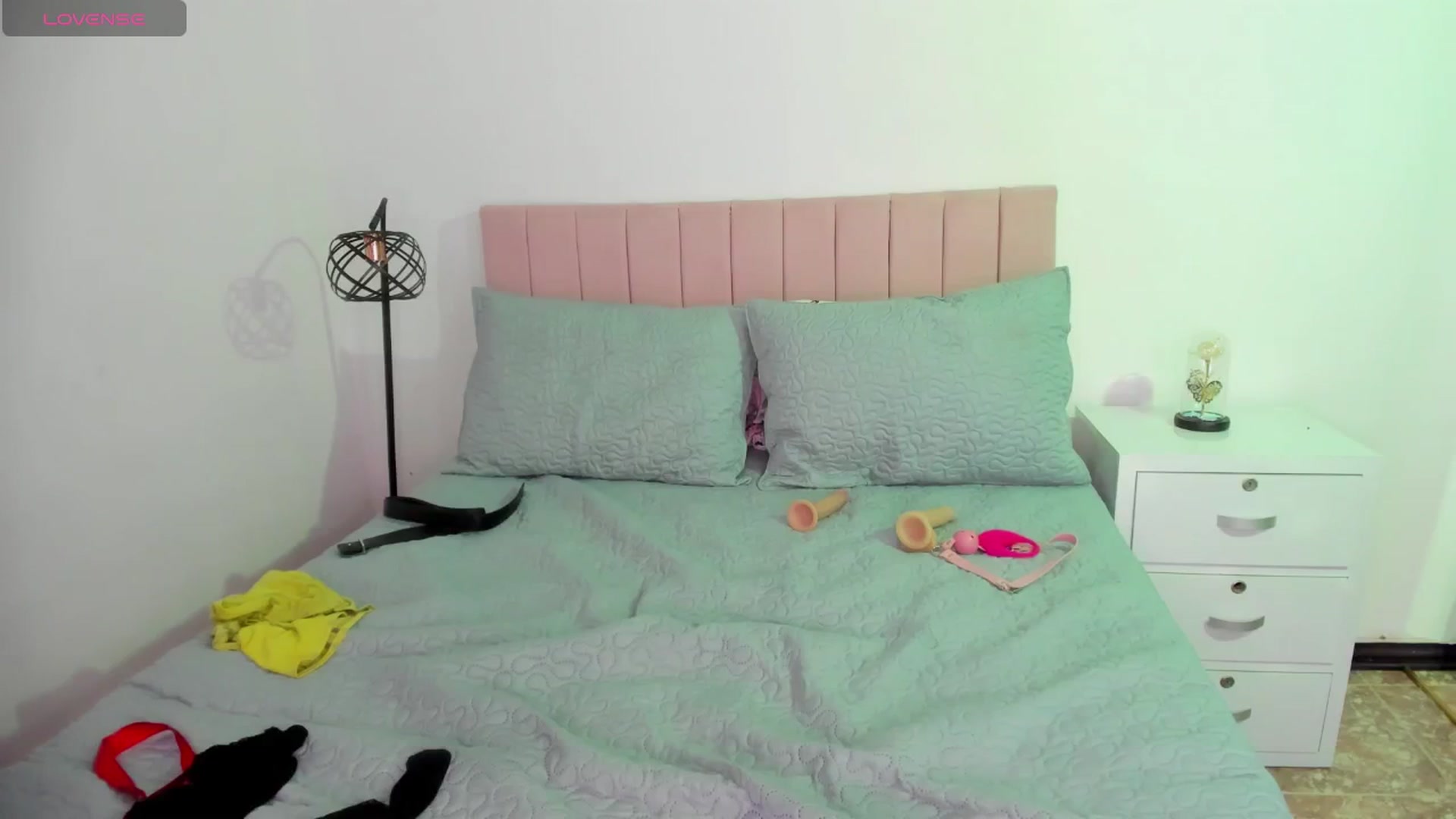 Gallery image thumbnail from Xoxo_danna's myfreecams stream on, 06/11/2024, 10:20 image 20 of 20