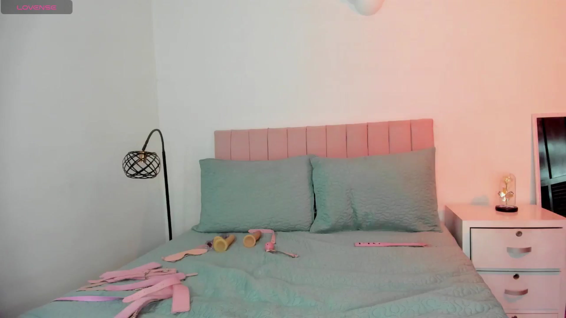 Gallery image thumbnail from Xoxo_danna's myfreecams stream on, 07/02/2024, 12:25 image 14 of 20