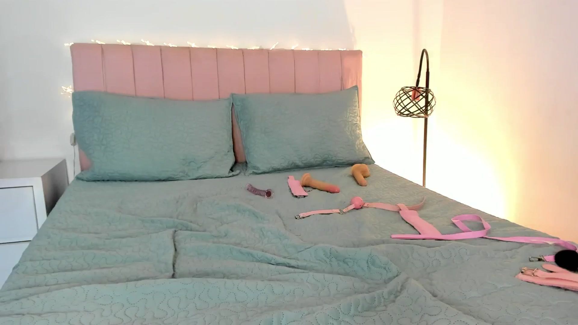 Gallery image thumbnail from Xoxo_danna's myfreecams stream on, 02/18/2025, 13:36 image 12 of 20