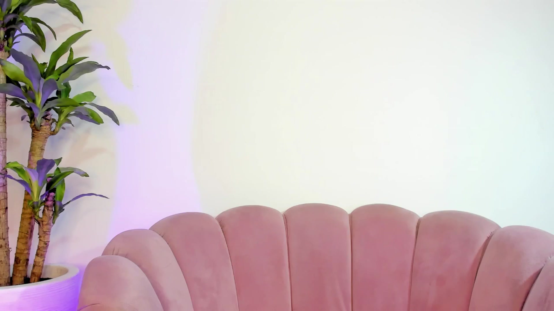 Gallery image thumbnail from Xoxo_danna's myfreecams stream on, 05/13/2025, 15:46 image 9 of 20