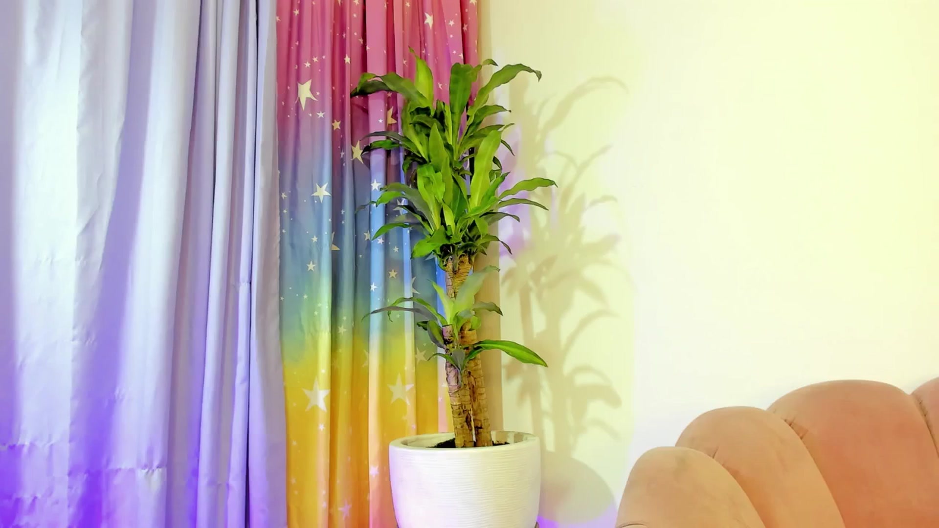 Gallery image thumbnail from Xoxo_danna's myfreecams stream on, 06/12/2025, 18:29 image 13 of 20