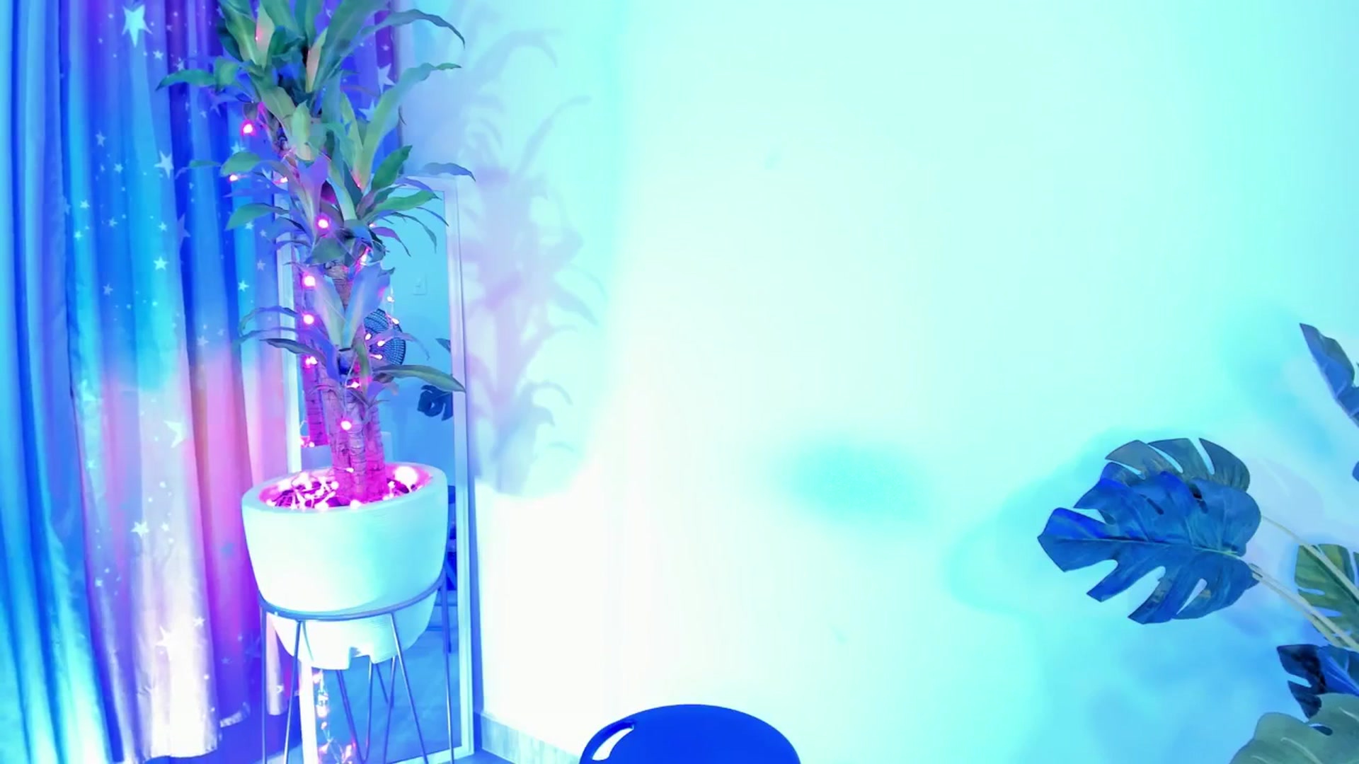 Gallery image thumbnail from Xoxo_danna's myfreecams stream on, 06/26/2025, 01:06 image 5 of 20