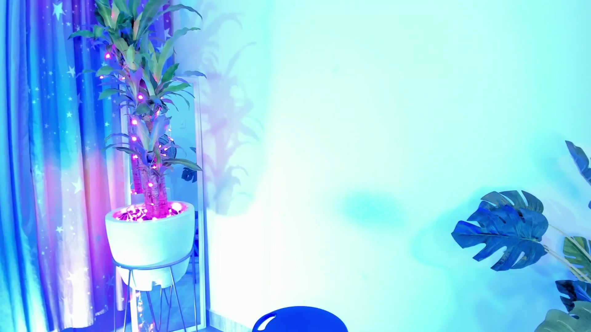 Gallery image thumbnail from Xoxo_danna's myfreecams stream on, 06/26/2025, 01:06 image 4 of 20