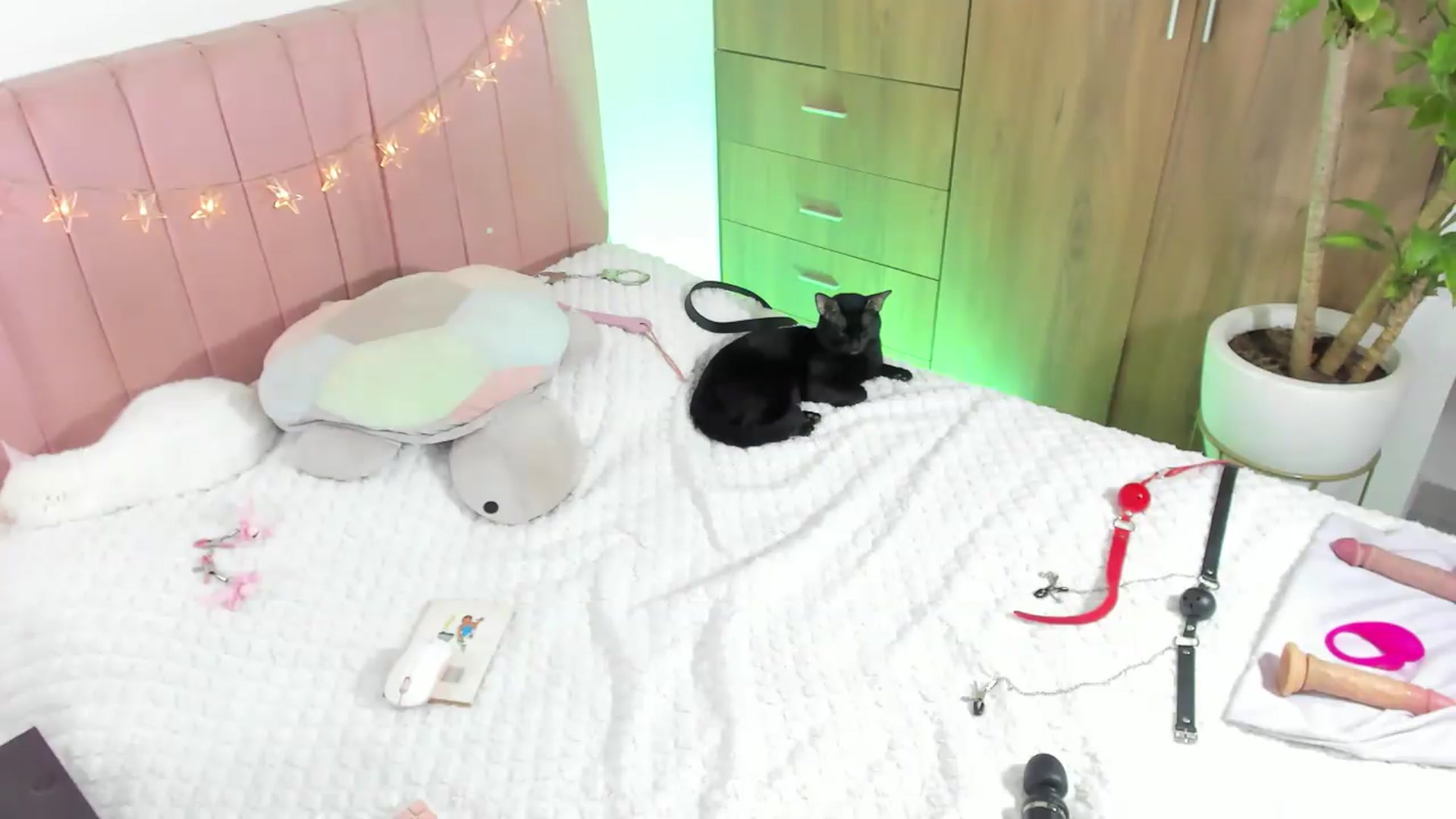 Gallery image thumbnail from Xoxo_danna's myfreecams stream on, 05/29/2026, 07:55 image 20 of 20