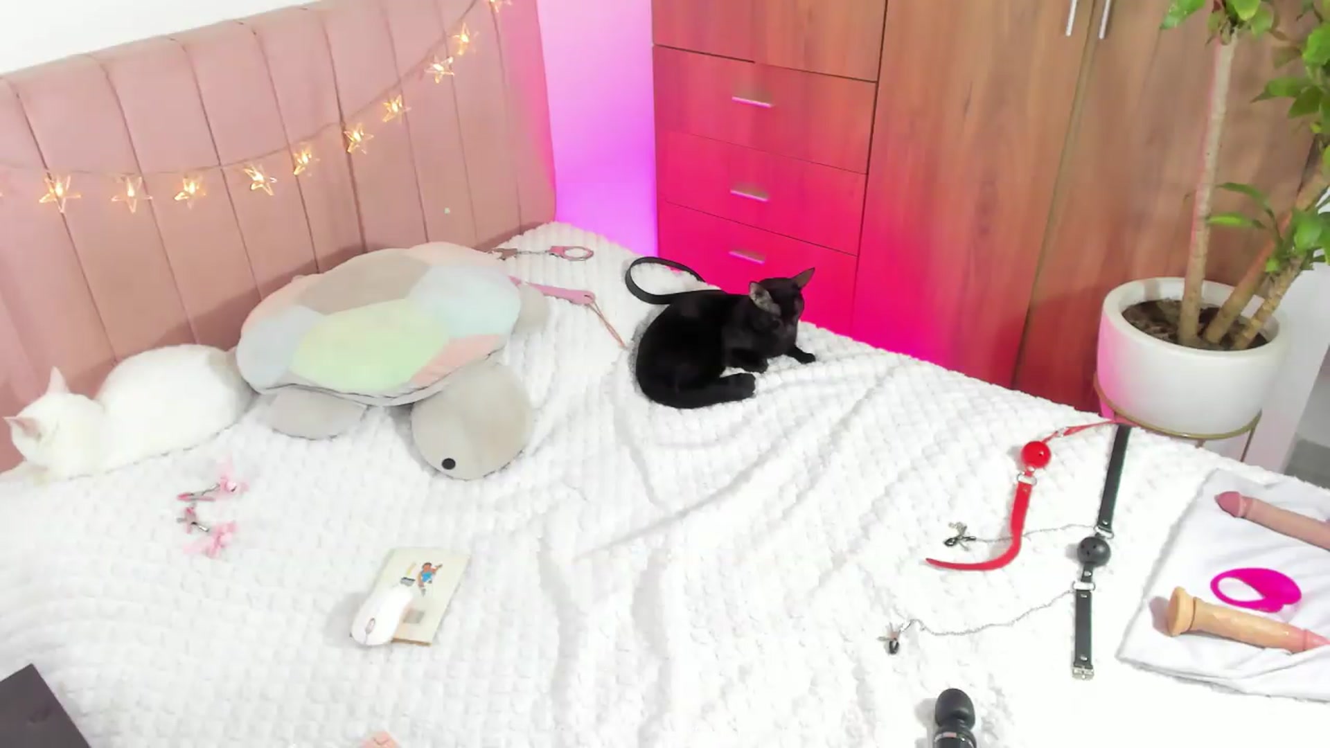 Gallery image thumbnail from Xoxo_danna's myfreecams stream on, 05/29/2026, 07:55 image 19 of 20