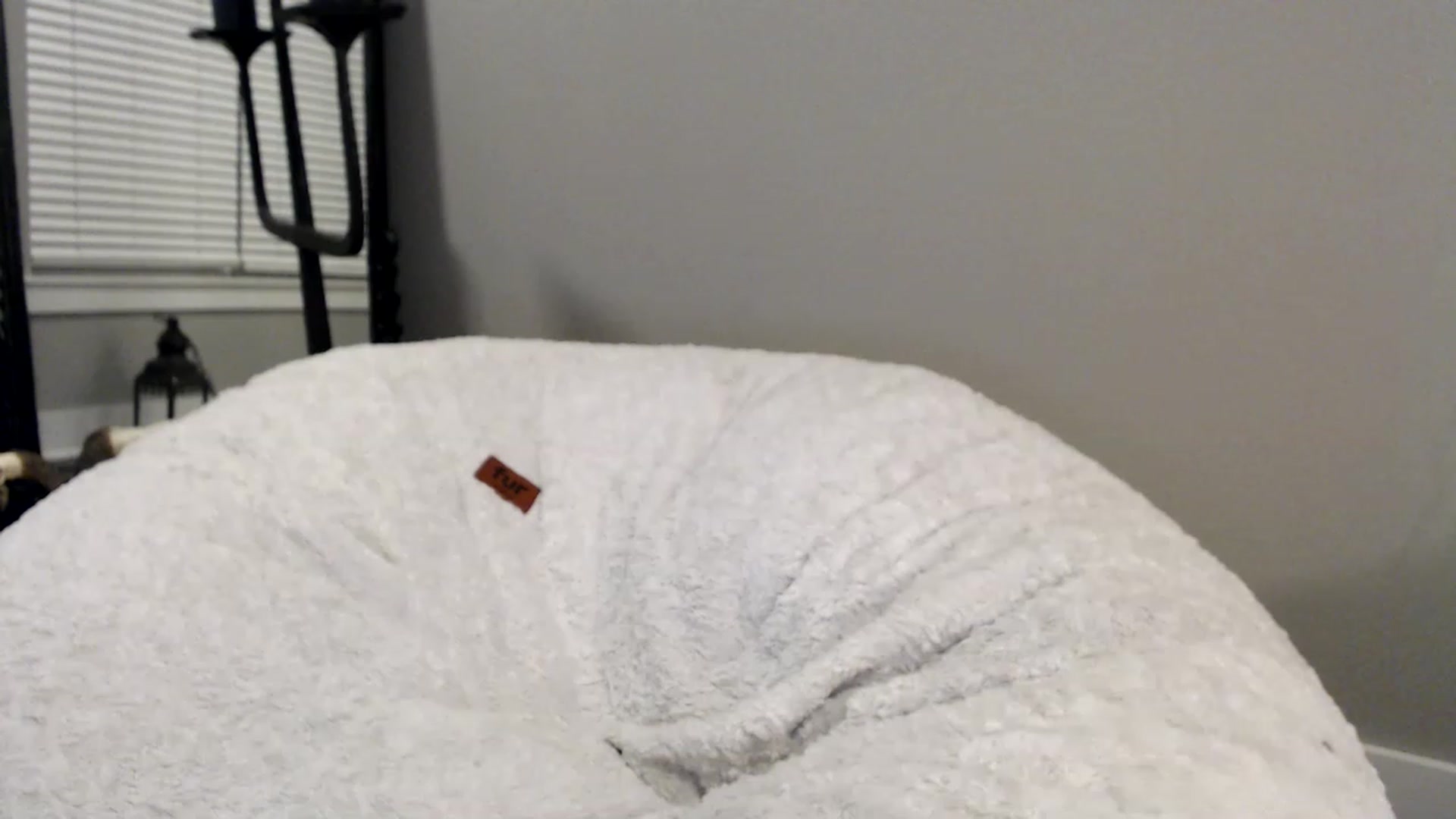 Gallery image thumbnail from XxRoseKitty's myfreecams stream on, 12/01/2022, 12:04 image 14 of 20