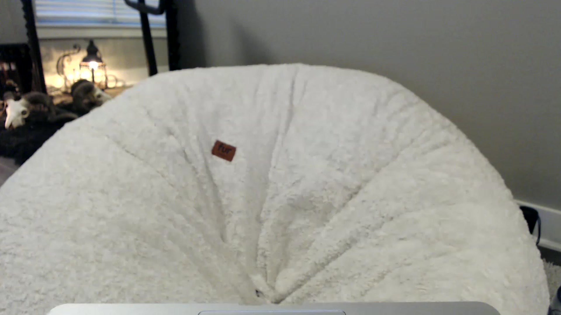 Gallery image thumbnail from XxRoseKitty's myfreecams stream on, 12/03/2022, 13:30 image 9 of 20