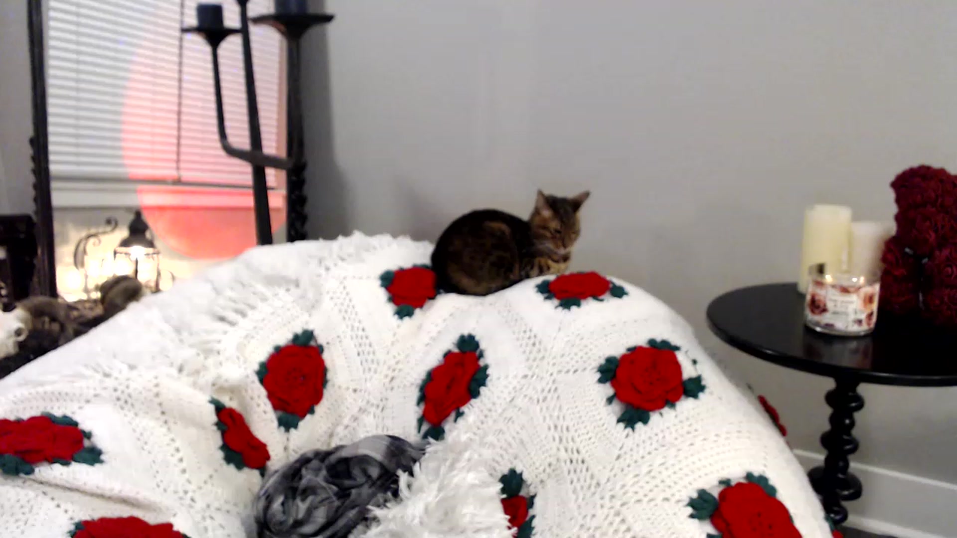Gallery image thumbnail from XxRoseKitty's myfreecams stream on, 12/05/2022, 09:20 image 18 of 20