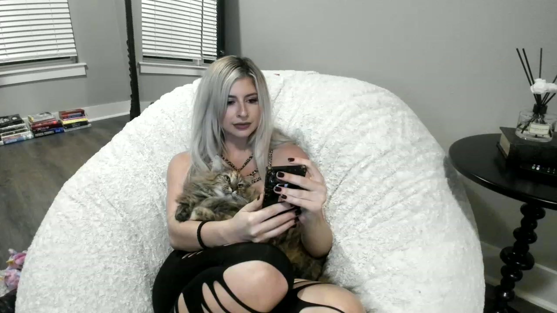 Gallery image thumbnail from XxRoseKitty's myfreecams stream on, 01/18/2023, 09:26 image 19 of 20