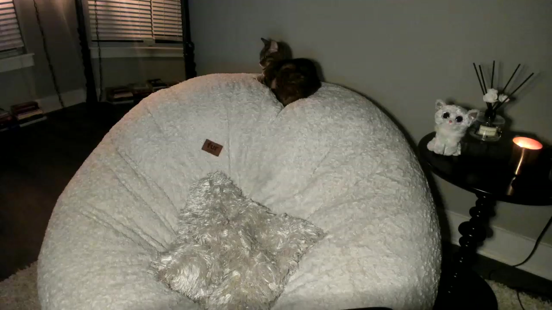 Gallery image thumbnail from XxRoseKitty's myfreecams stream on, 01/26/2023, 07:45 image 19 of 20
