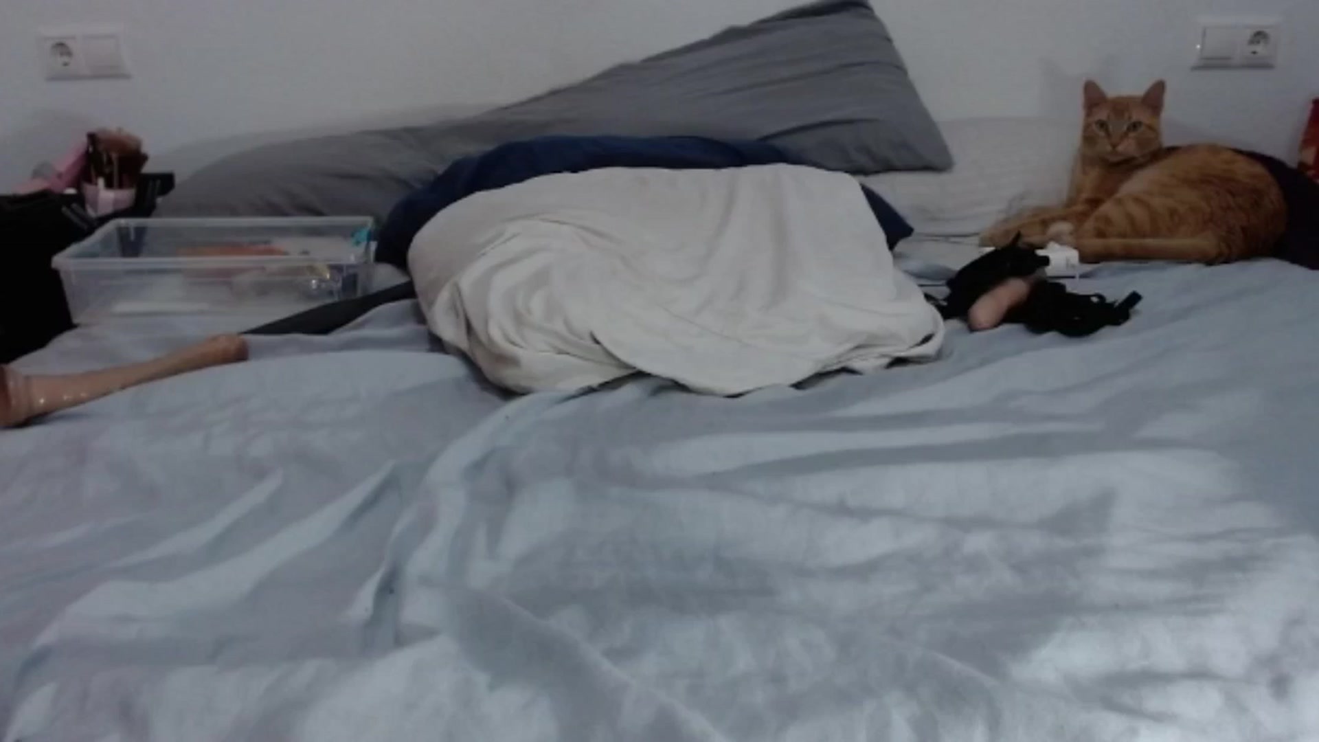 Gallery image thumbnail from Xx_Monika_x's myfreecams stream on, 08/16/2024, 20:27 image 15 of 20