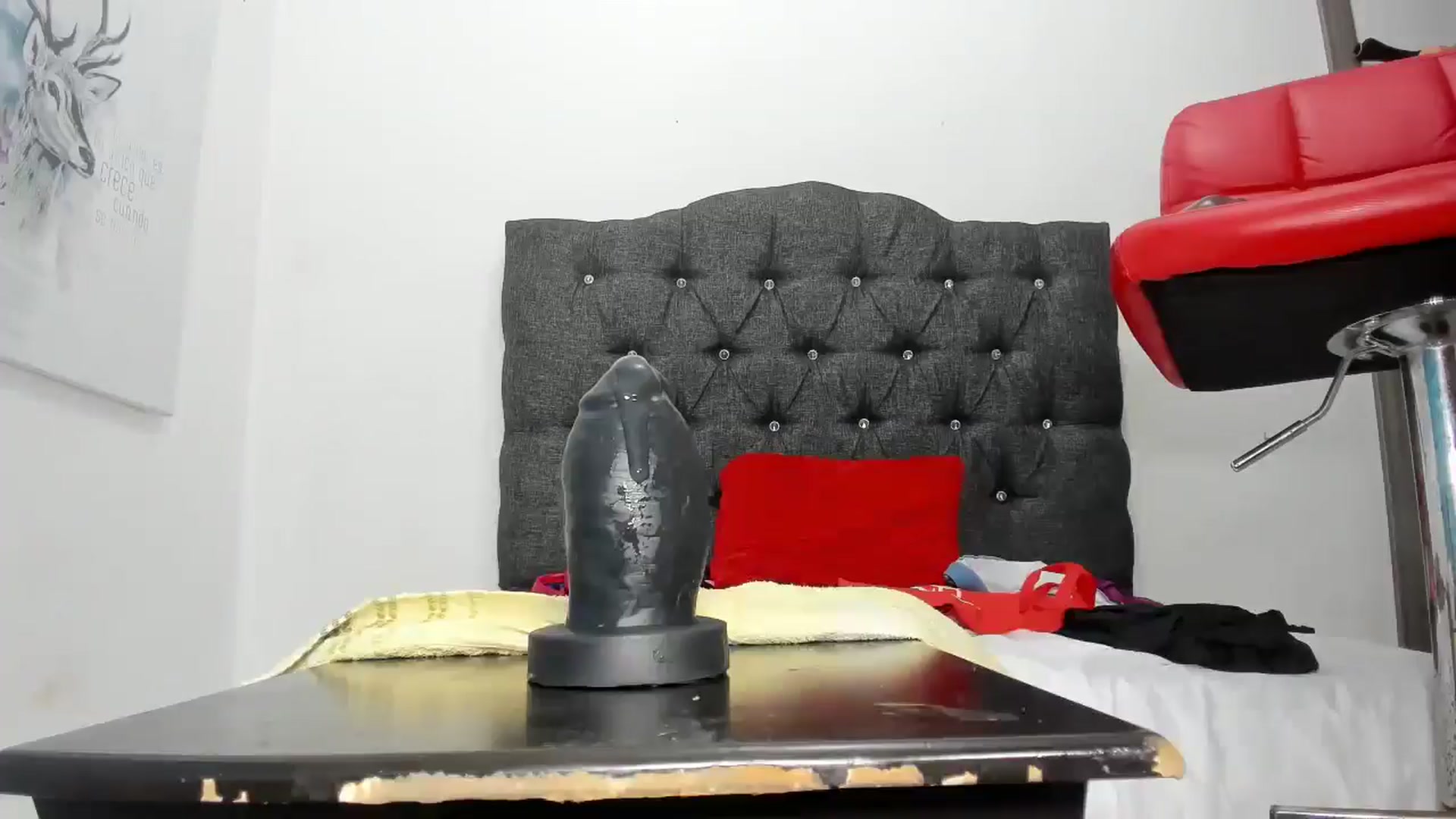 Gallery image thumbnail from Xxannitaxxx's myfreecams stream on, 12/02/2024, 23:41 image 10 of 20