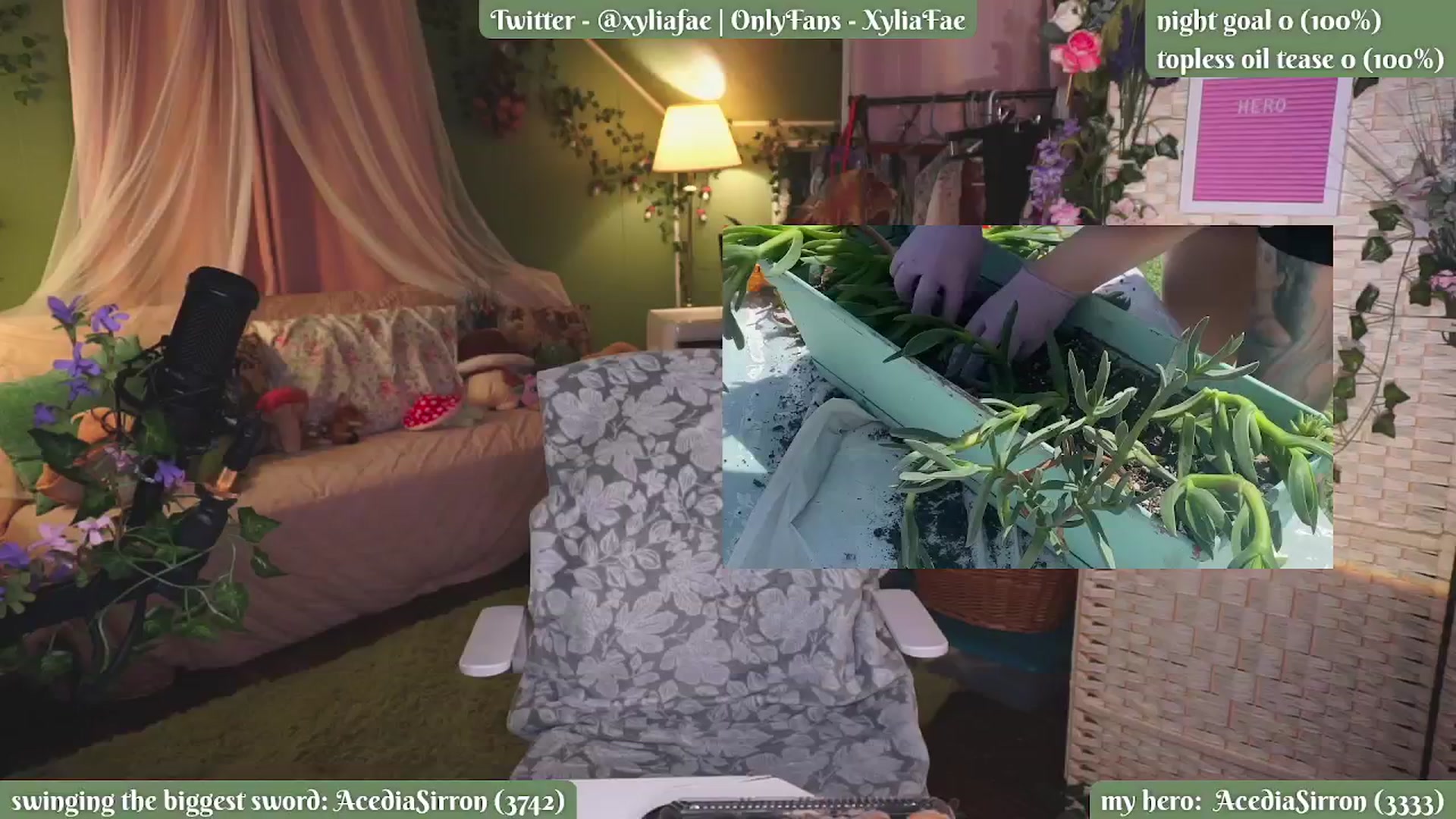 Gallery image thumbnail from XyliaFae's myfreecams stream on, 06/10/2024, 07:30 image 8 of 20