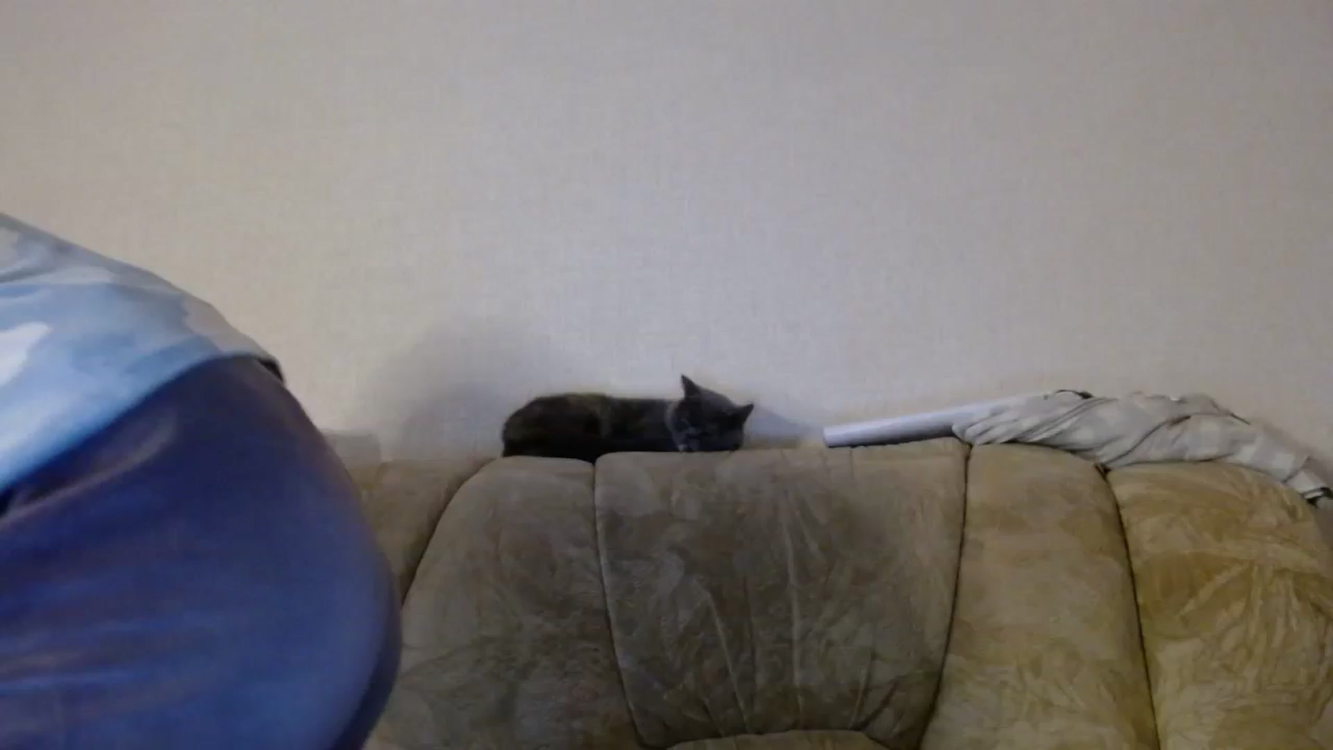 Gallery image thumbnail from YaeMiko's myfreecams stream on, 01/26/2024, 18:15 image 7 of 20