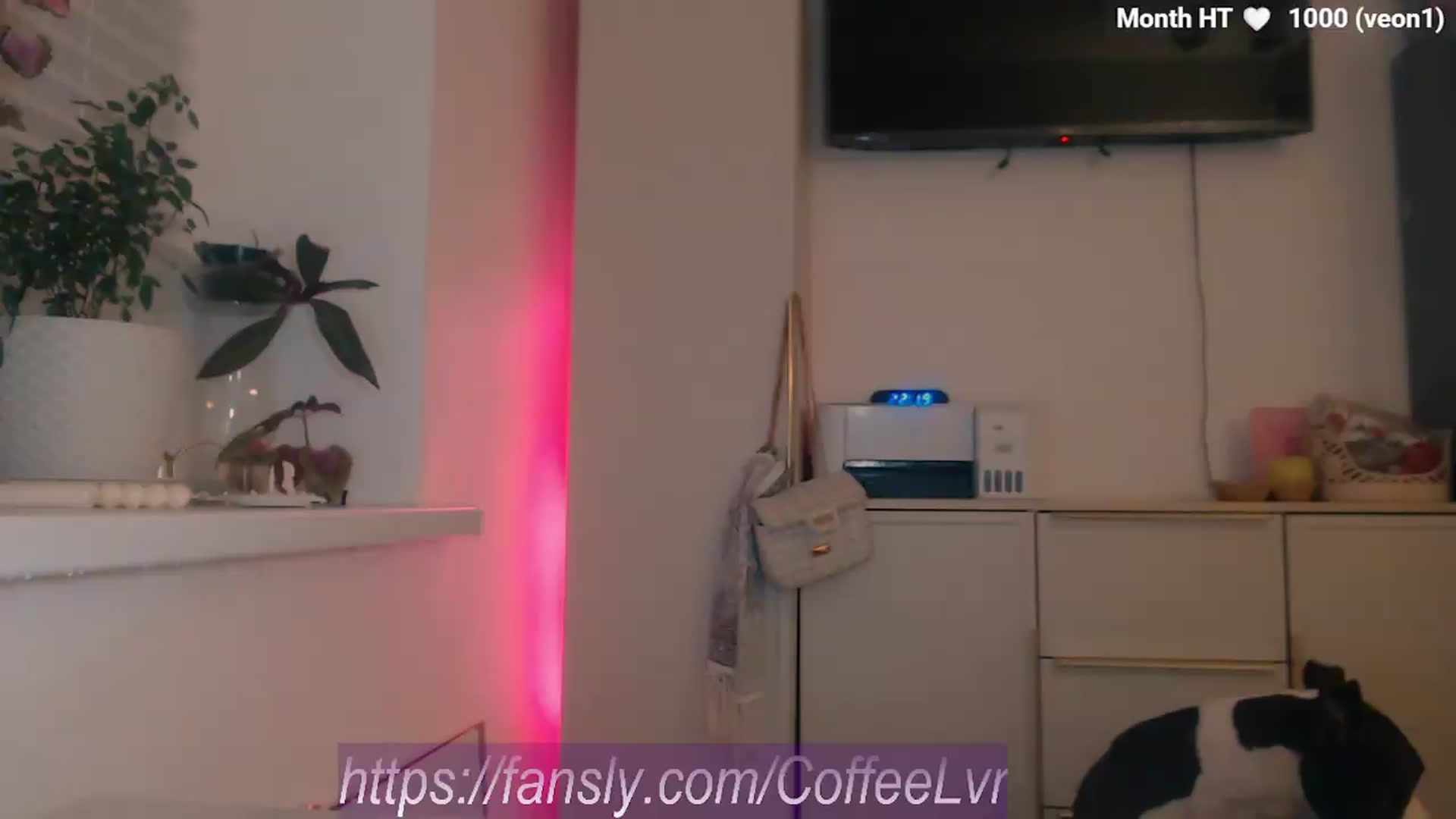 Gallery image thumbnail from Yeah_So_What's myfreecams stream on, 08/14/2026, 21:03 image 8 of 20