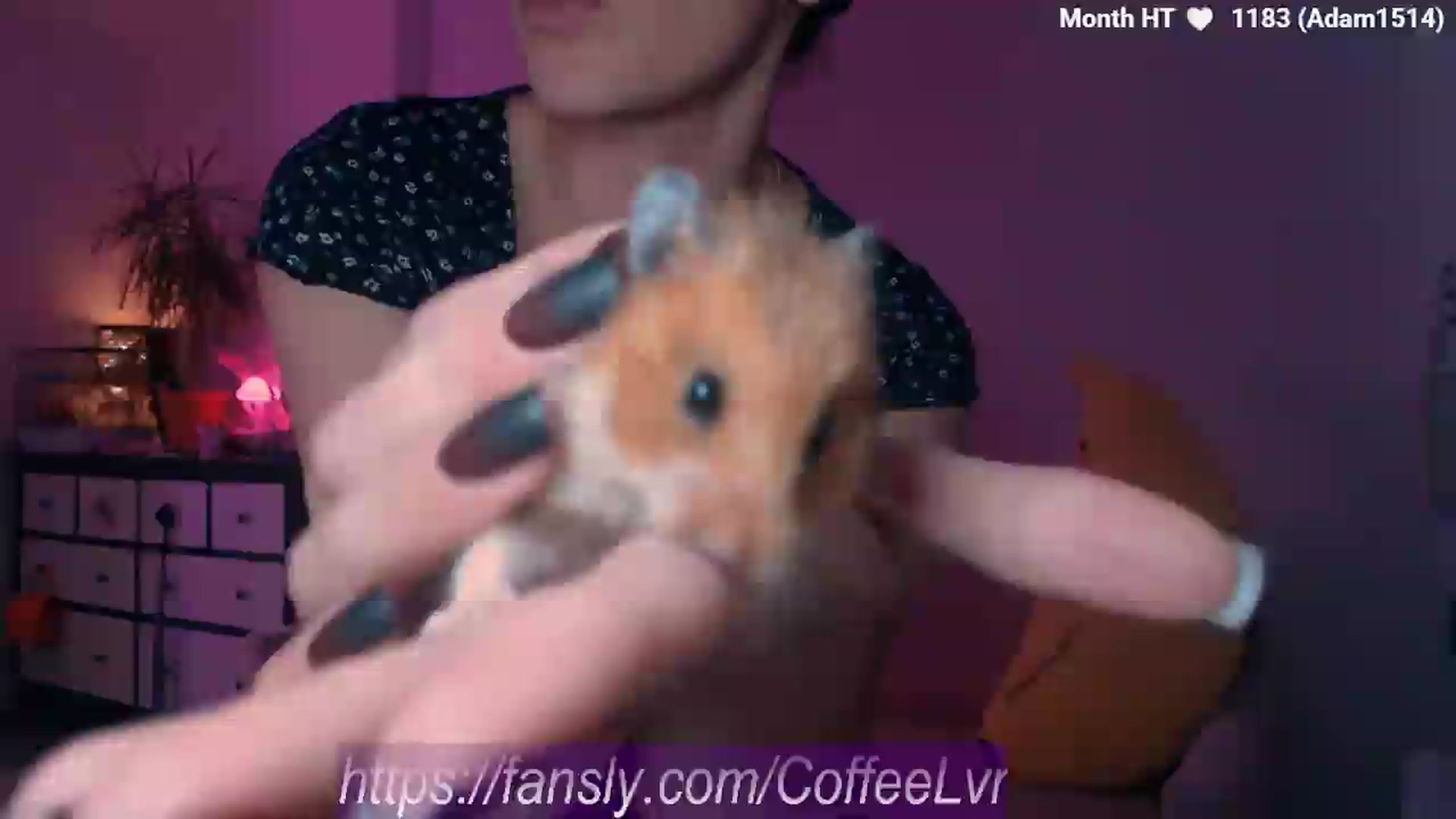 Gallery image thumbnail from Yeah_So_What's myfreecams stream on, 09/14/2026, 17:57 image 6 of 20