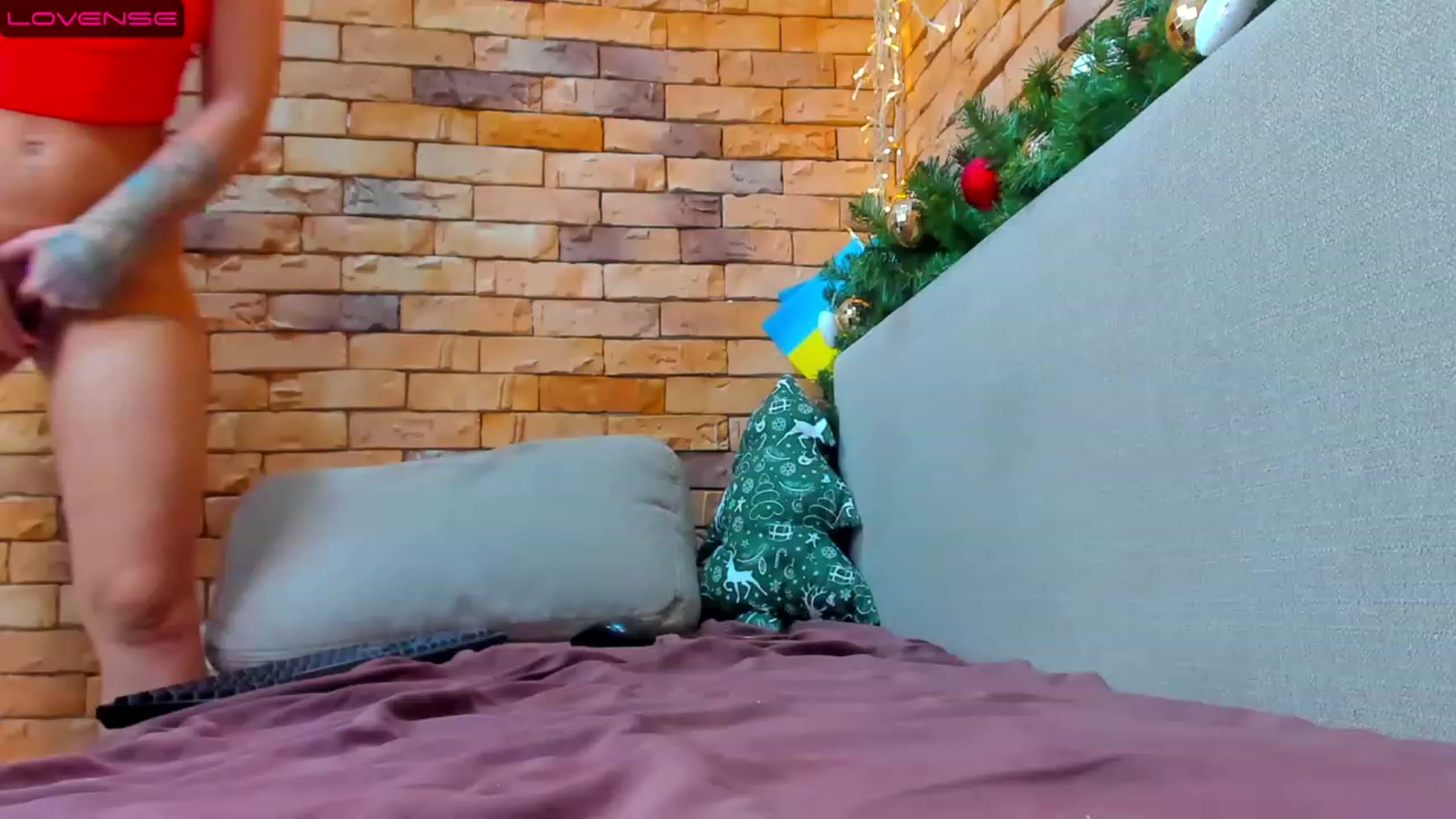 Gallery image thumbnail from Yes_Sir_'s myfreecams stream on, 12/10/2022, 13:47 image 19 of 20