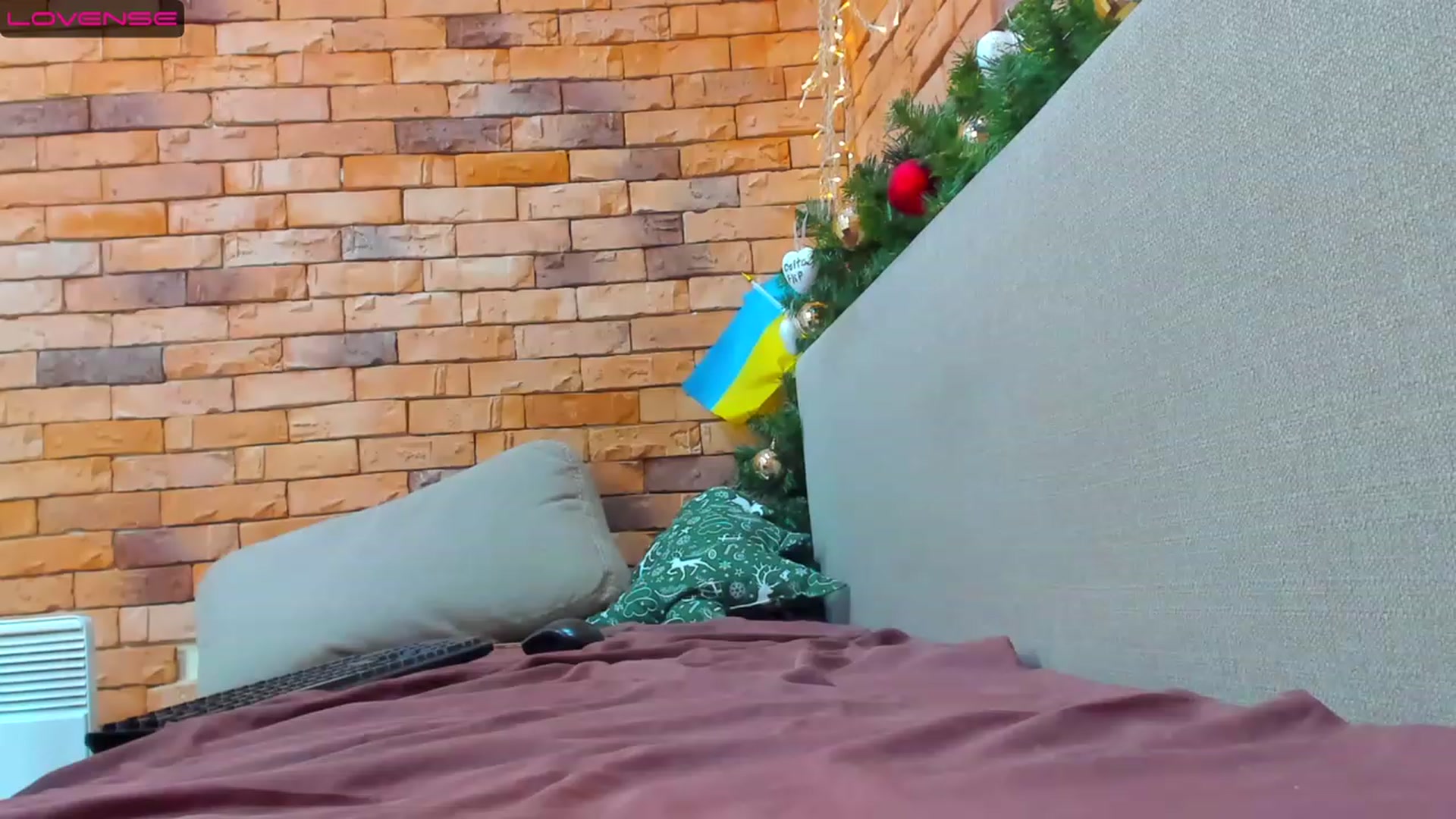 Gallery image thumbnail from Yes_Sir_'s myfreecams stream on, 12/29/2022, 14:19 image 11 of 20