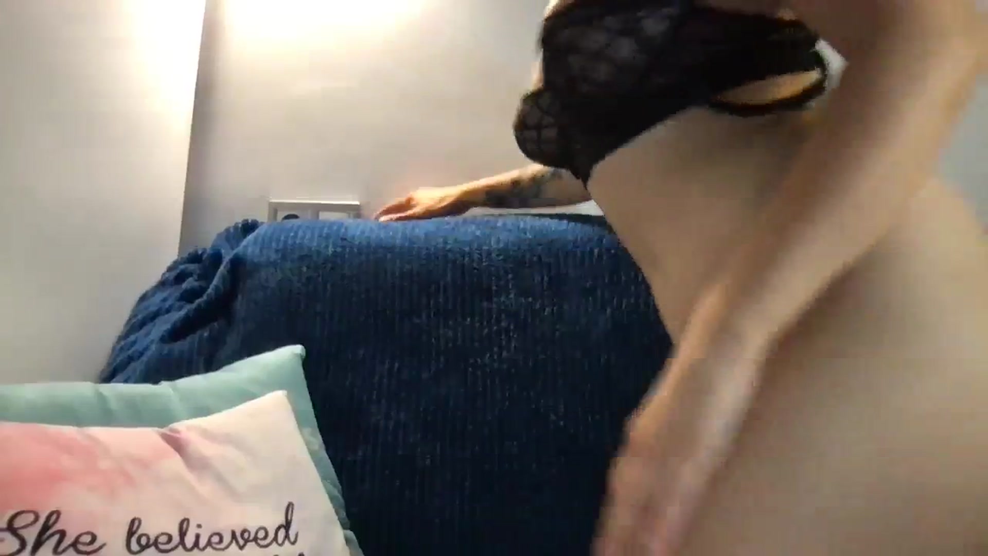 Gallery image thumbnail from YoungDunst's myfreecams stream on, 09/14/2023, 17:47 image 20 of 20
